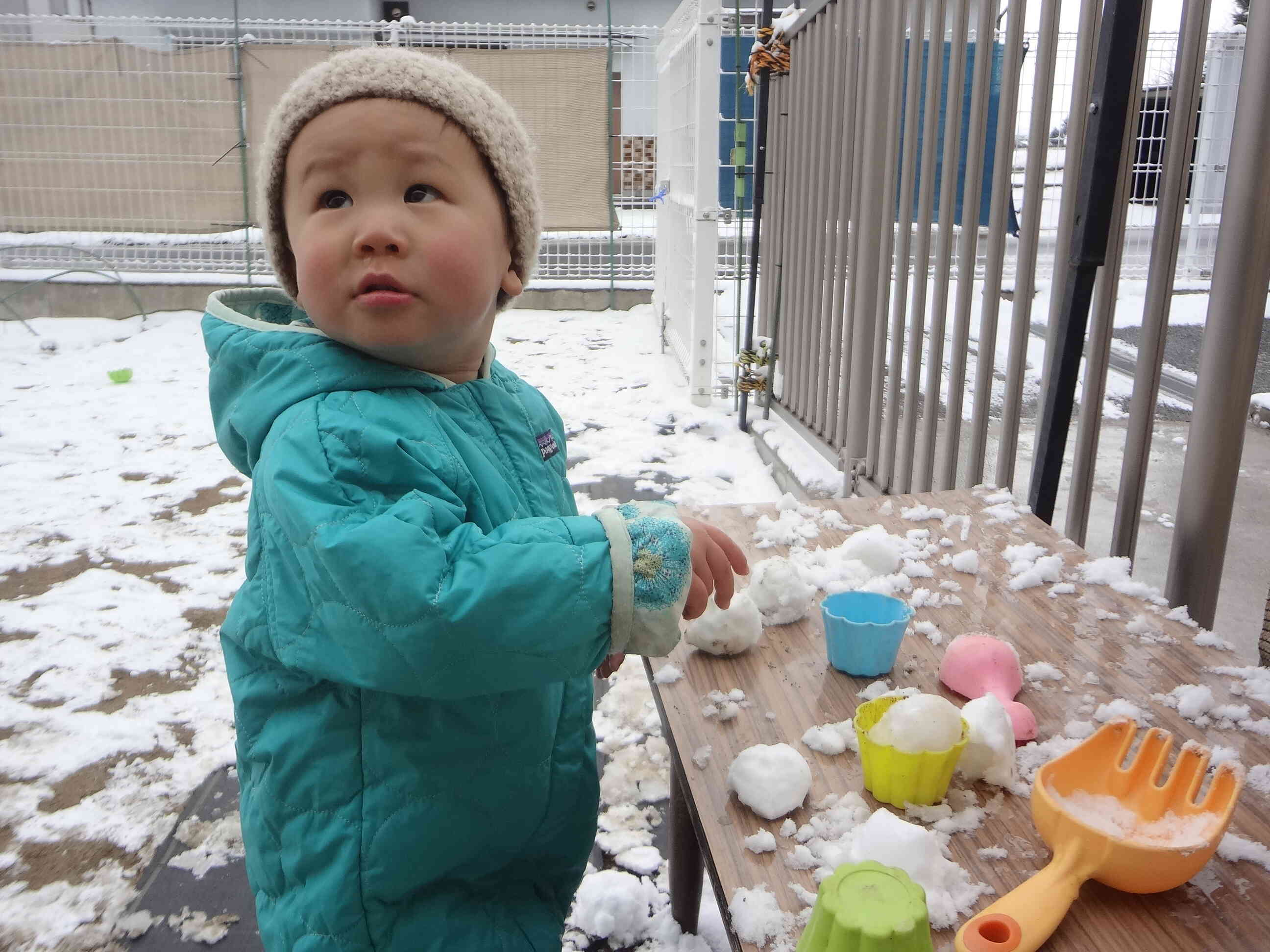 やったー！　雪が降ったよ！