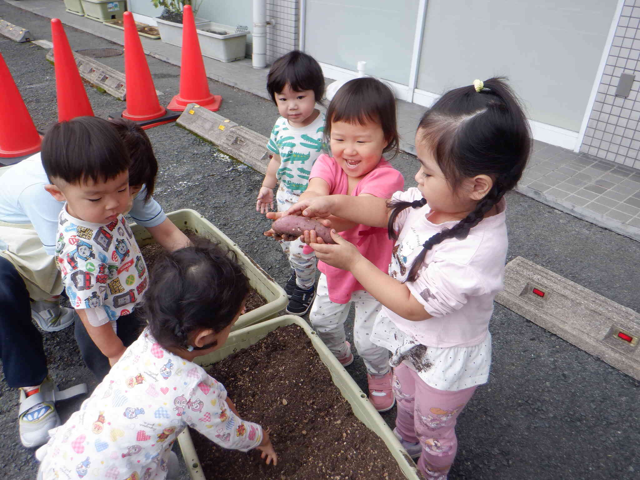 【食育】芋ほり