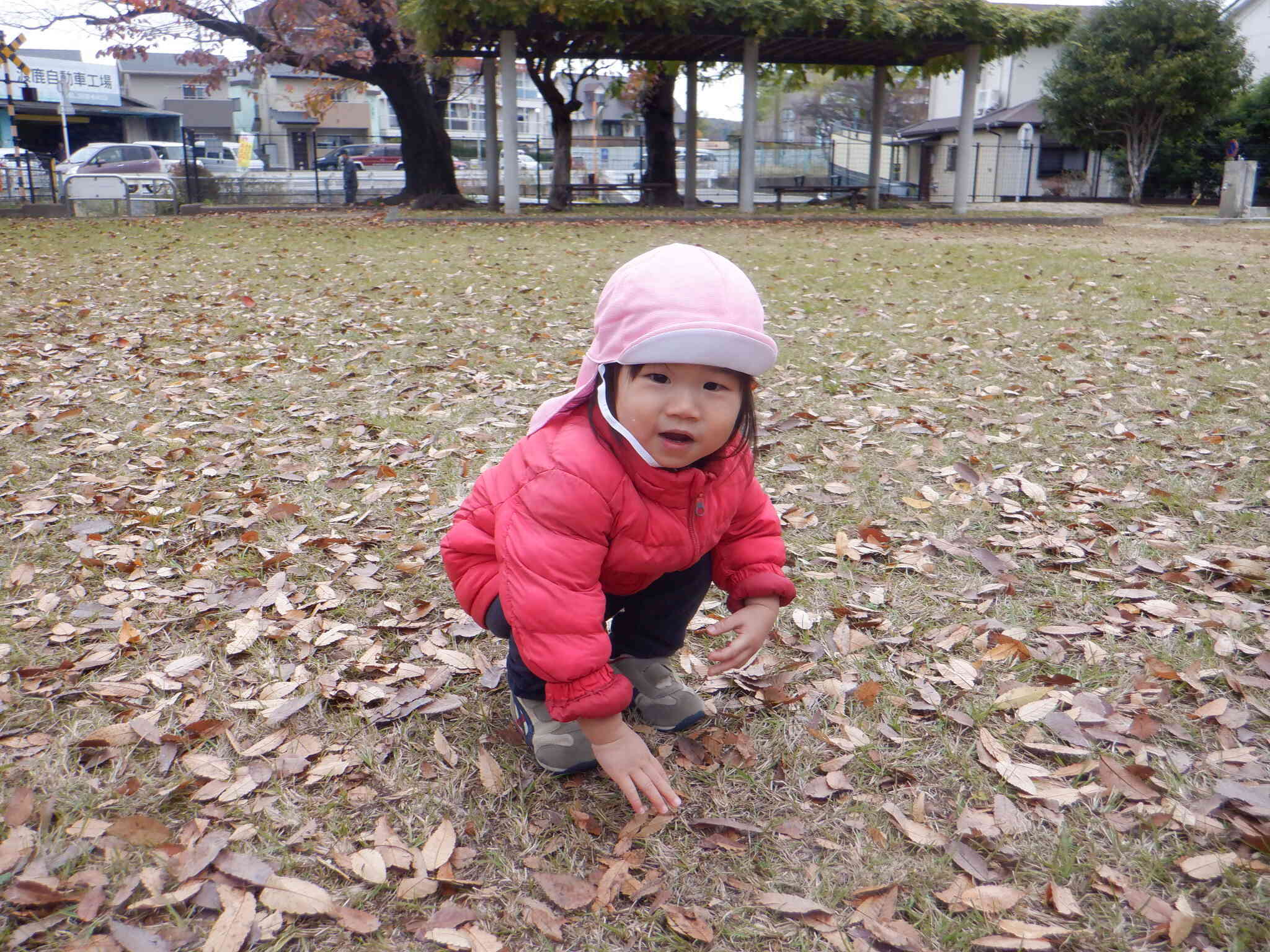 落ち葉がたくさんあるね～