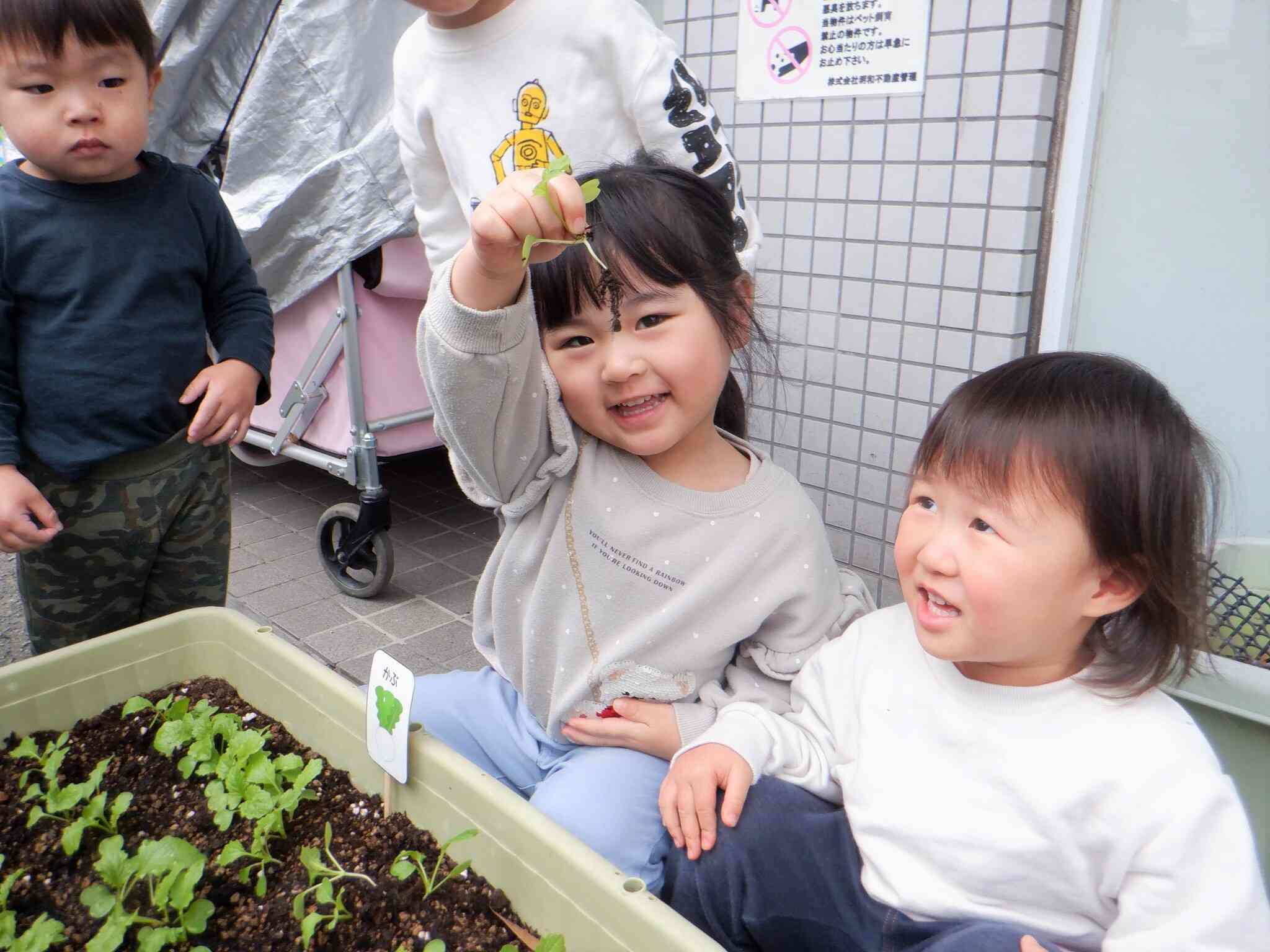 ばっちりです！