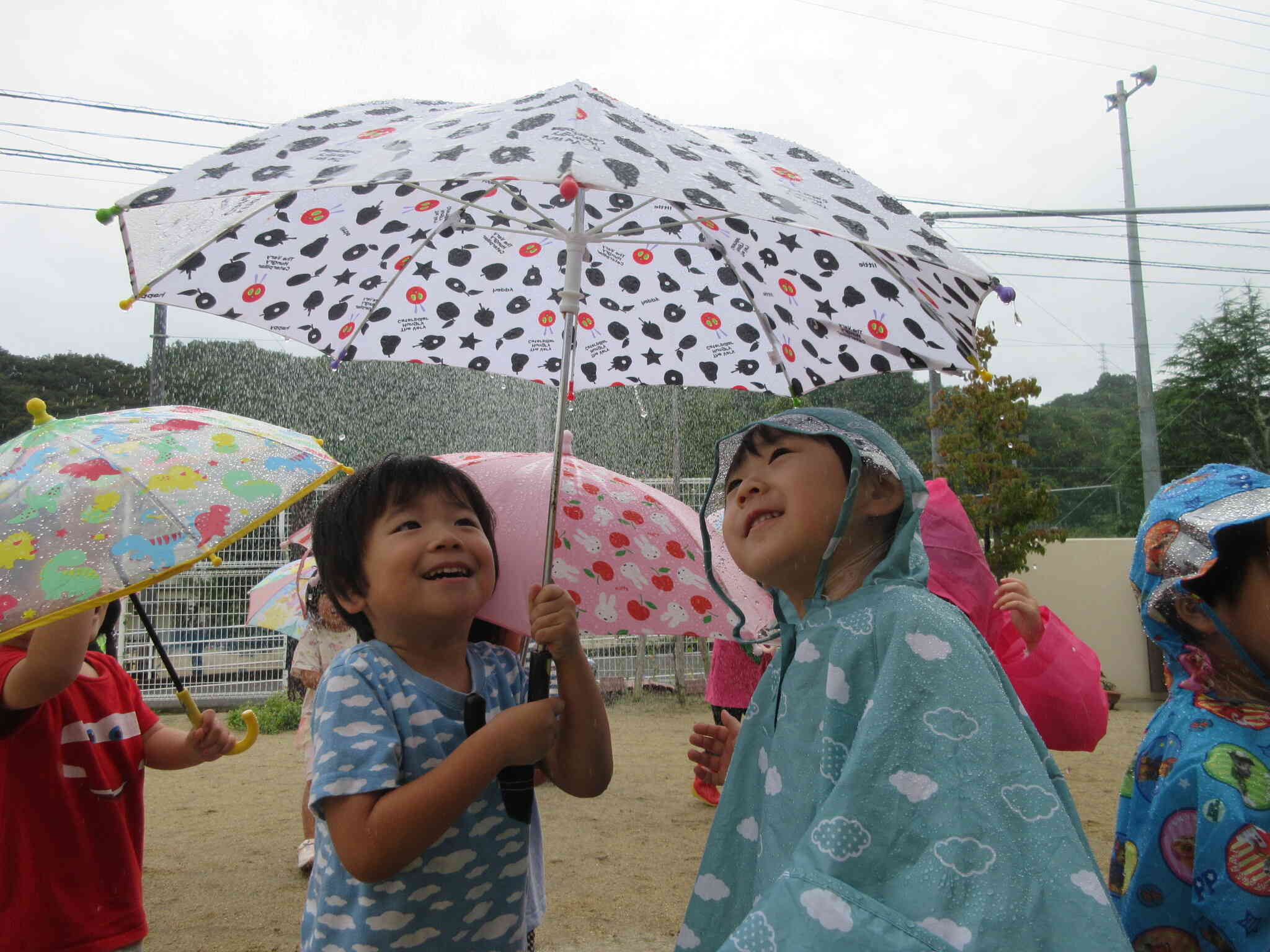 雨の音楽会♫(くま組)