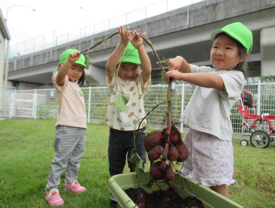 ニチイキッズ一宮南保育園