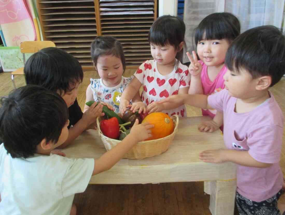 ピザのトッピング野菜を収穫しました！