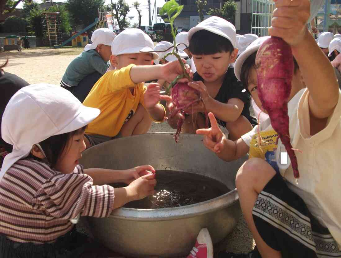 大きいお芋、小さいお芋