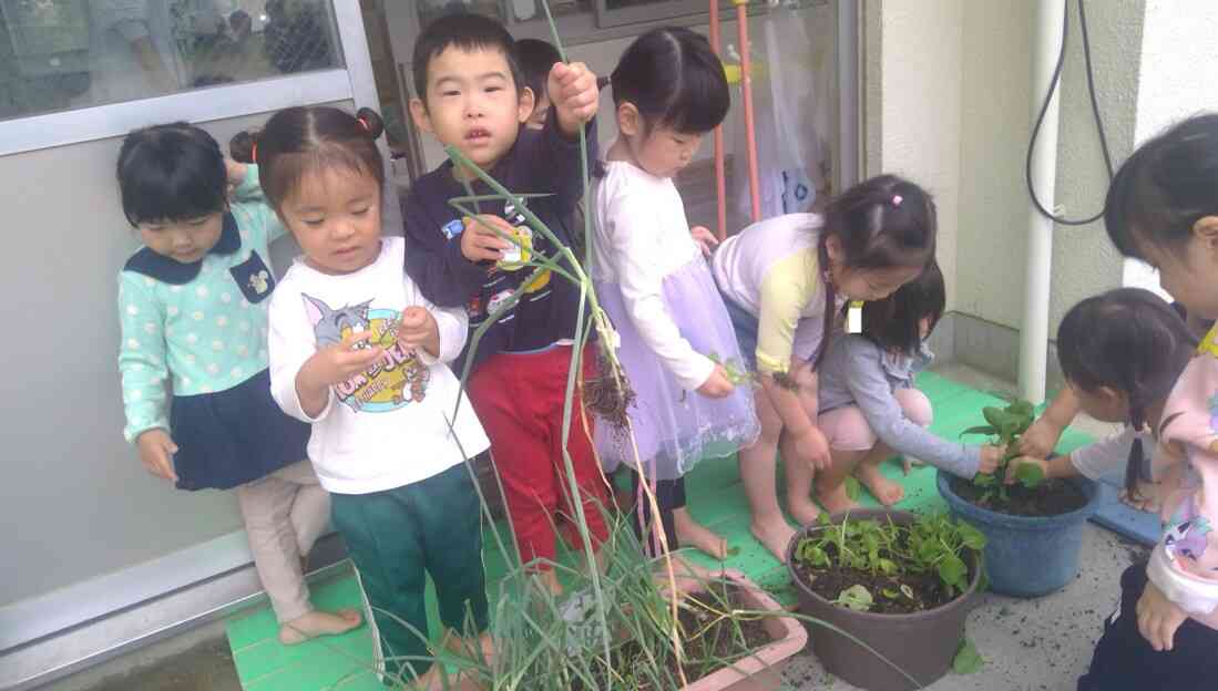 リクエスト給食（3歳児）