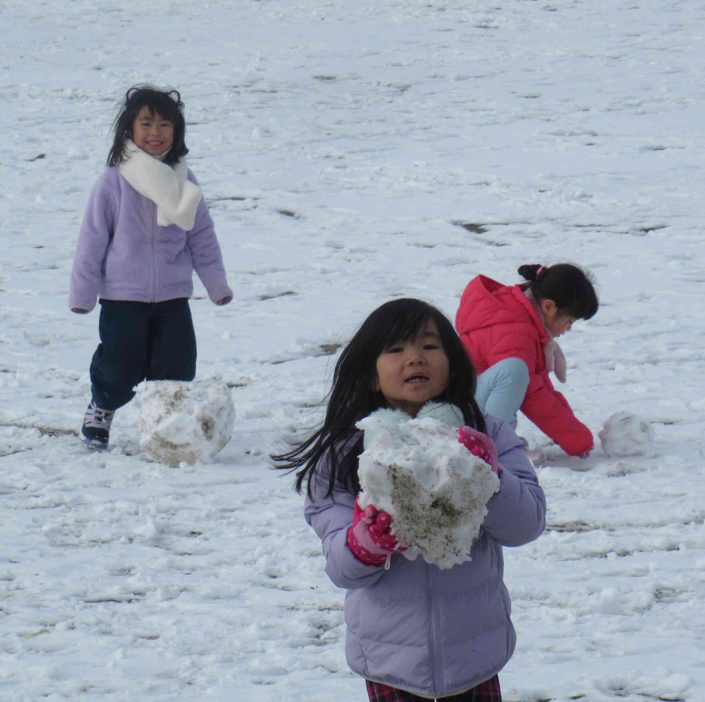 雪玉ころがし②