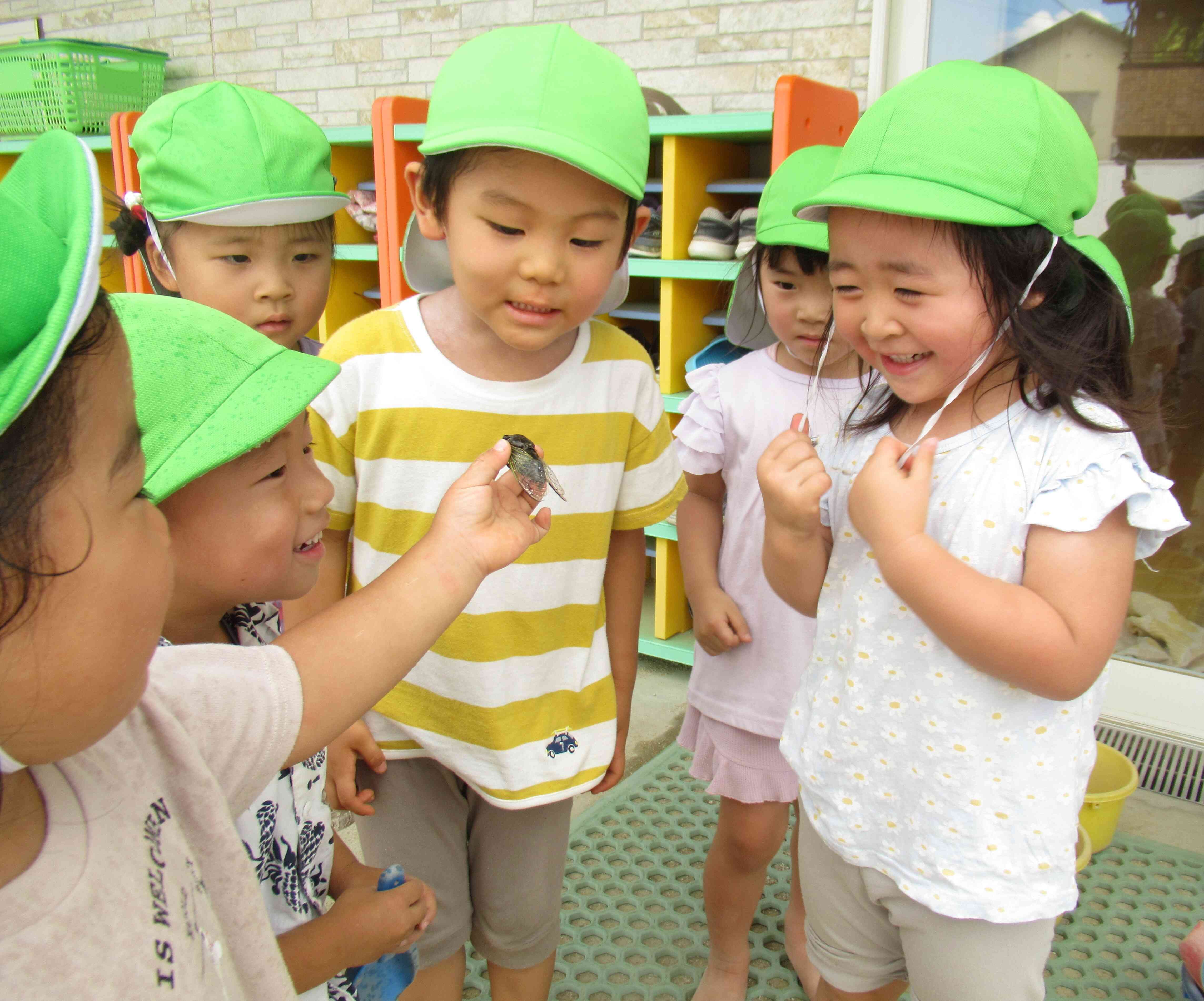 「見て見て～セミだよ」「すごーい」「羽や目や足もちゃんとあるね」しっかり観察出来てます。