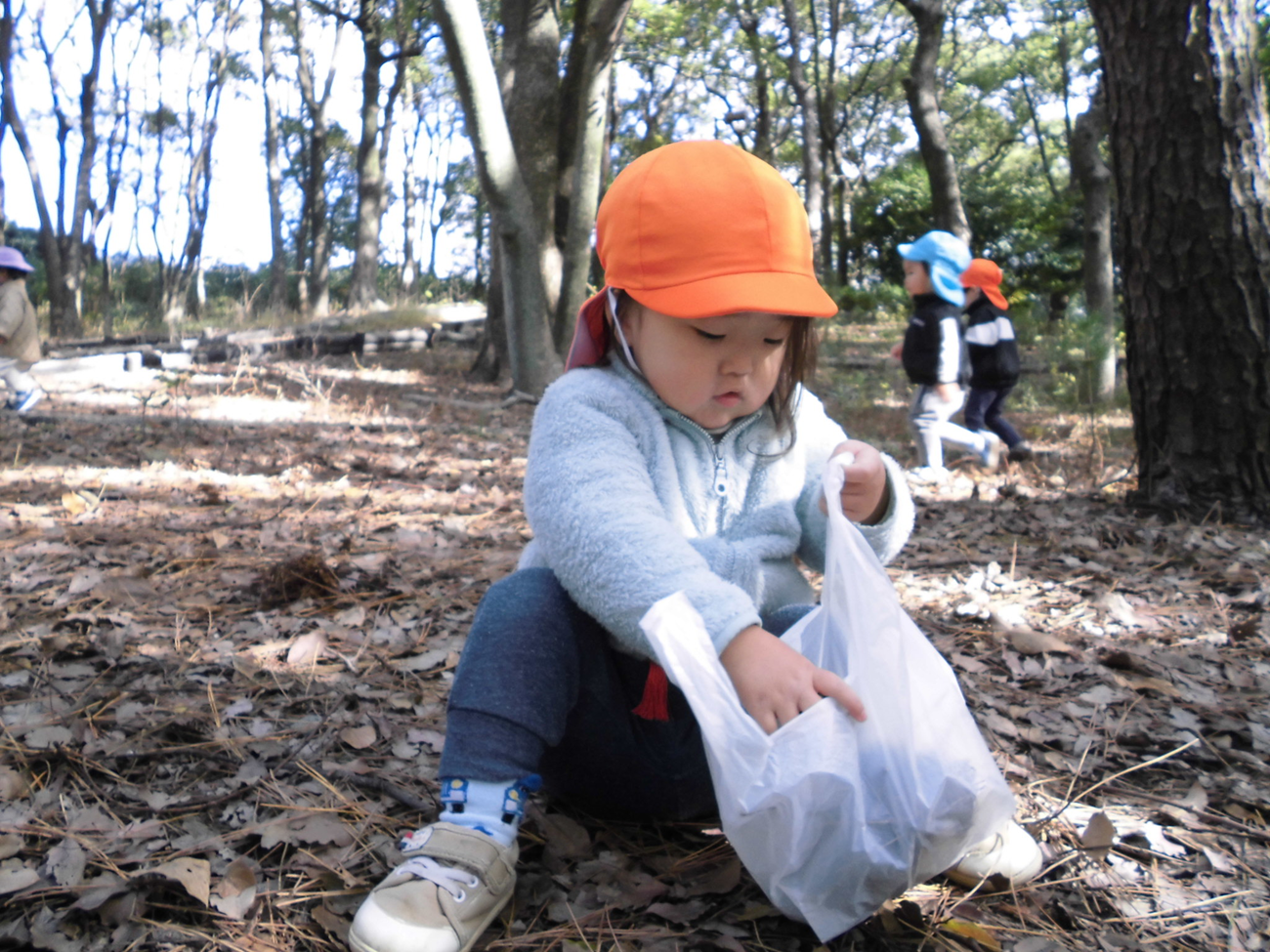 たくさん集めて保育園に持って帰るよ！