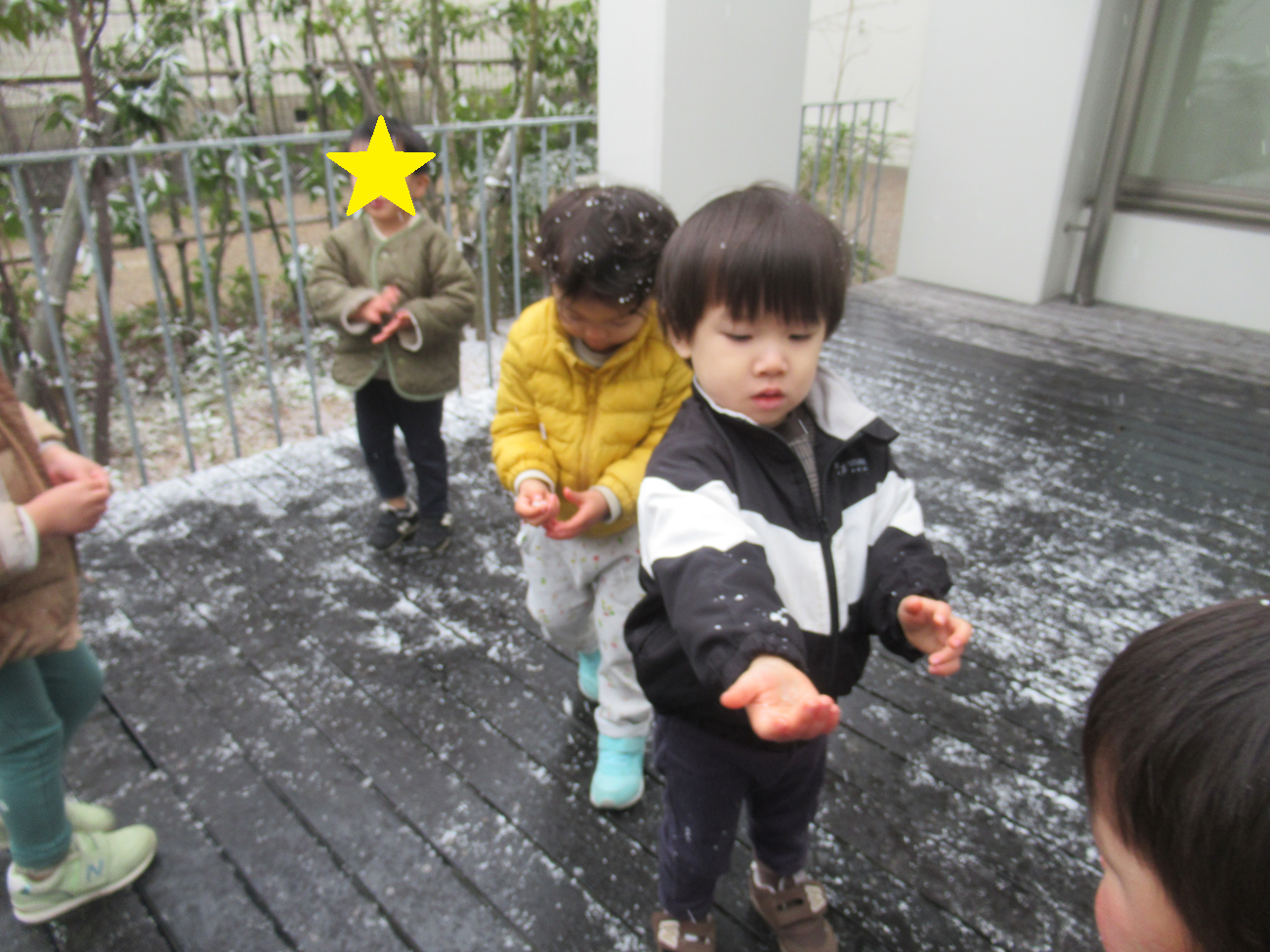 雪が降ってきたよ！