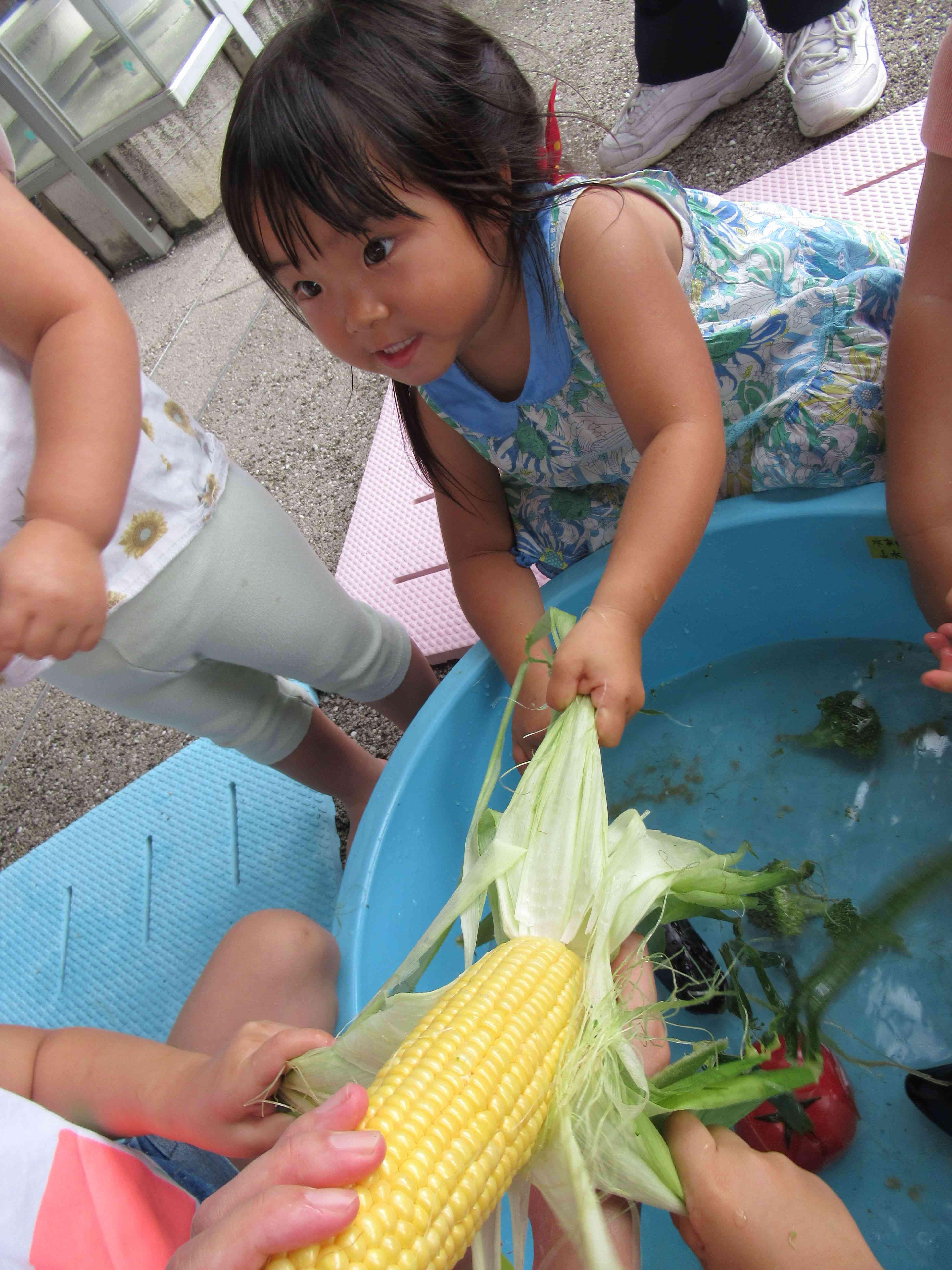 夏の食育活動