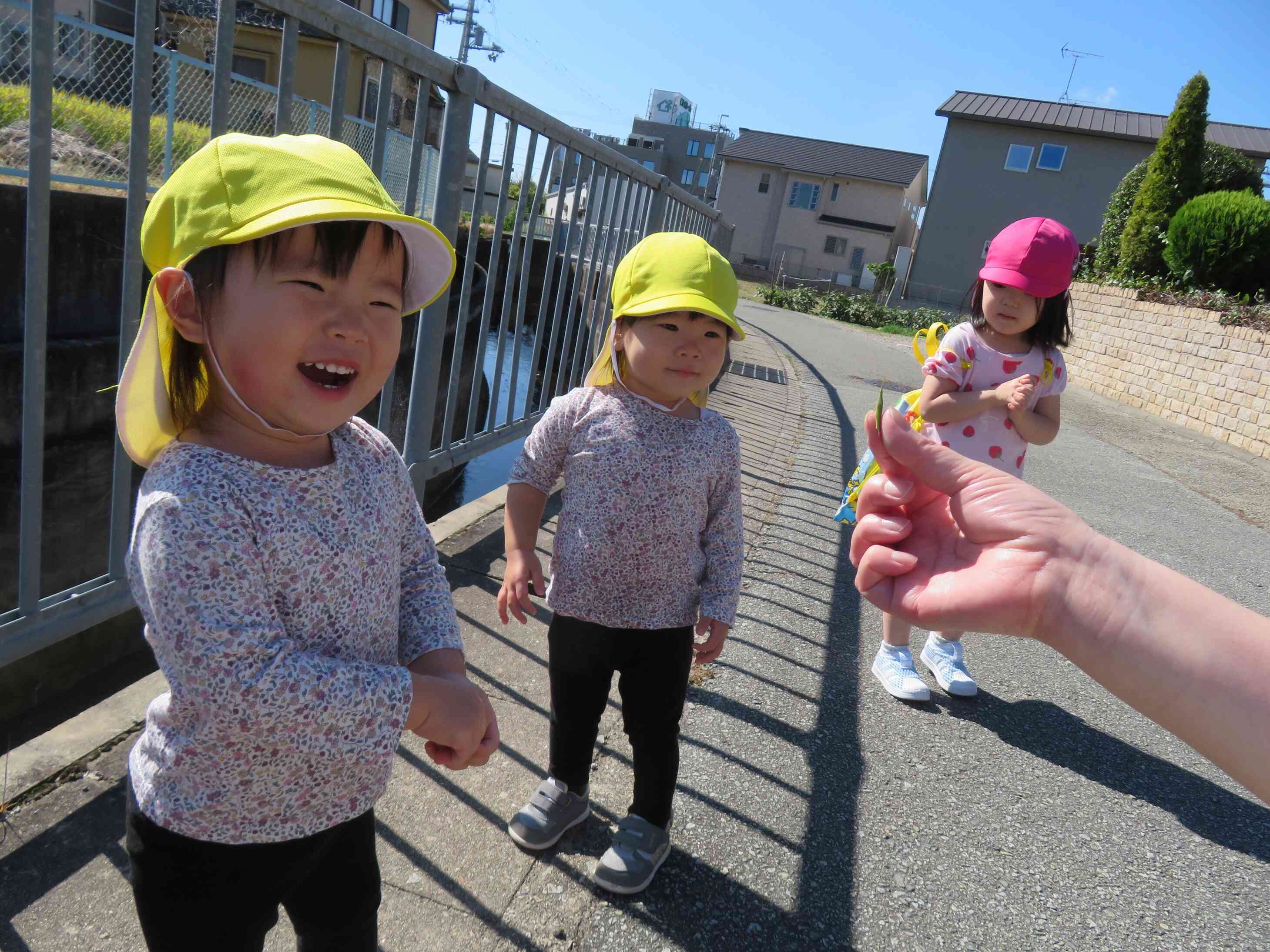 小さなバッタさんを発見！みんなとお友だちになりたいのかなぁ★