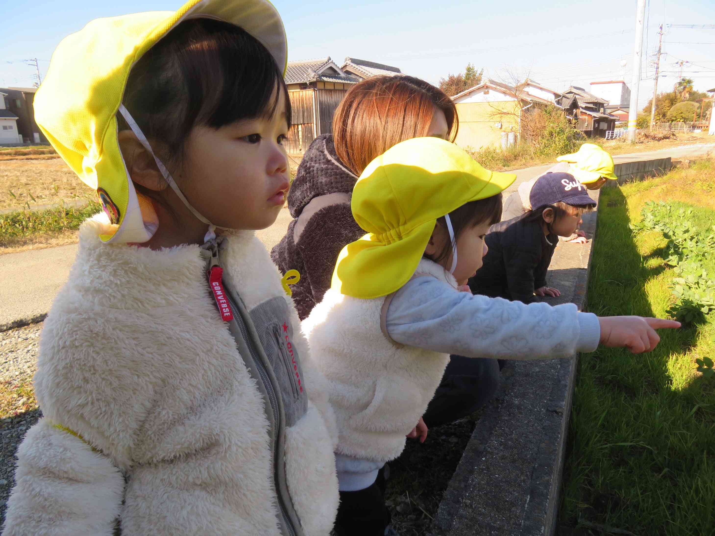 「今度は、お野菜発見！！」