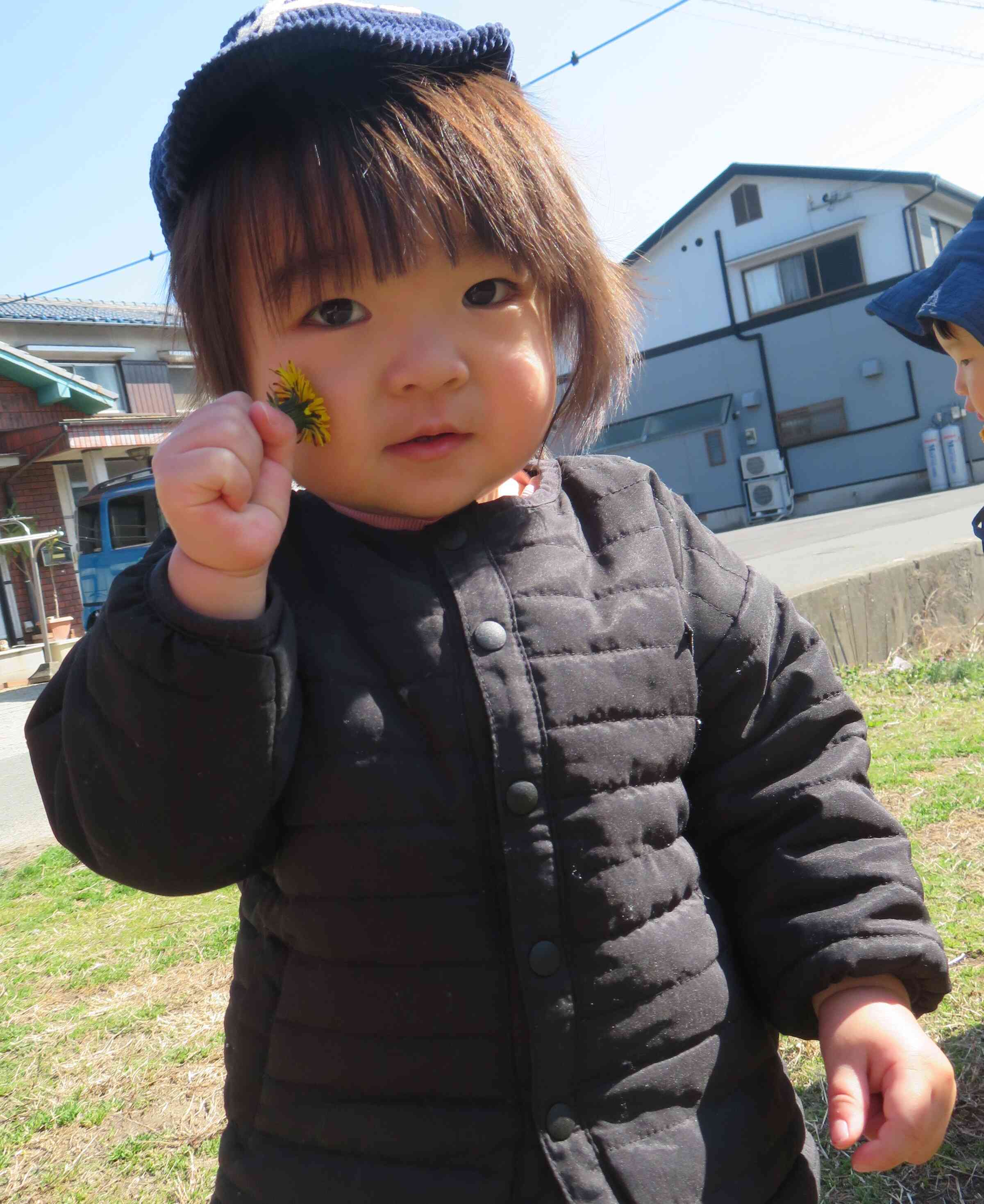 タンポポみーつっけた！春がもうすぐだね！