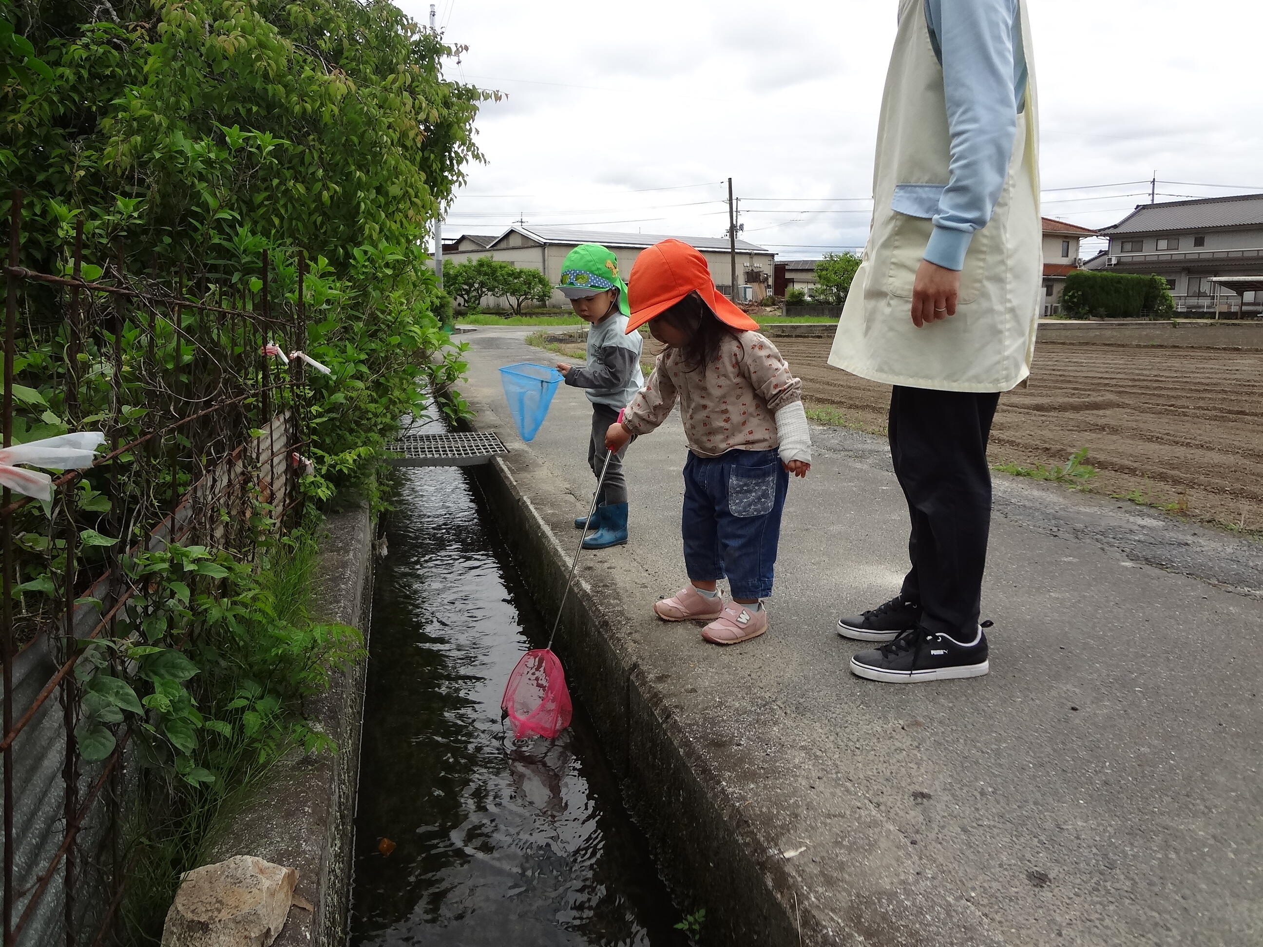 ザリガニどこかな？