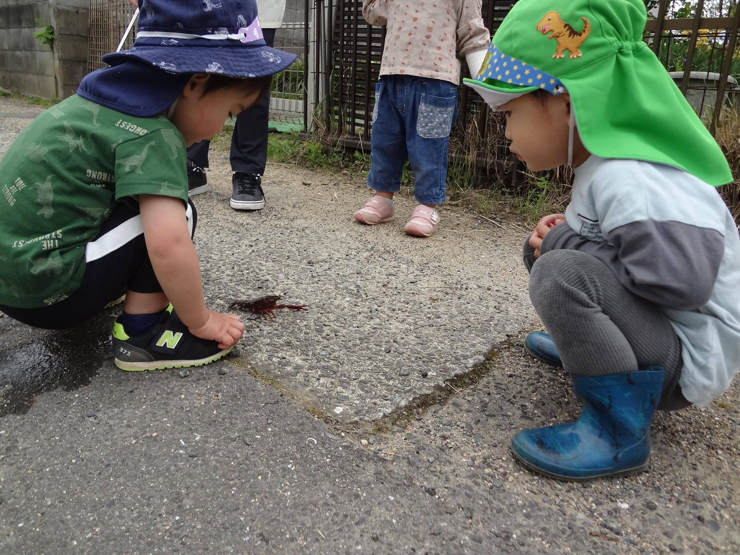 かっこいいね～みんな興味津々です。春のお散歩はたくさん発見があるね！