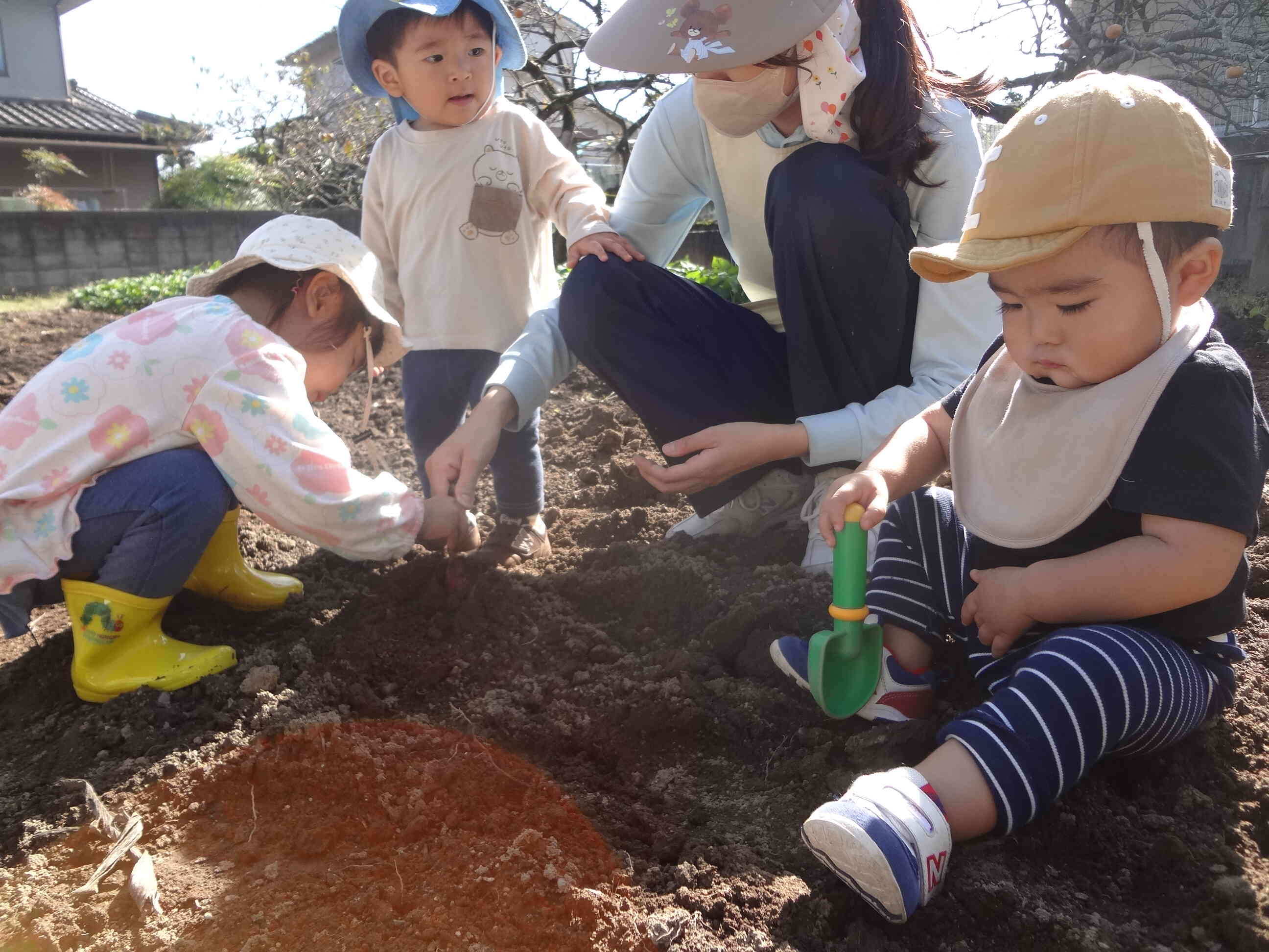 ねぇ先生、ここを掘るとお芋出てくるかな？