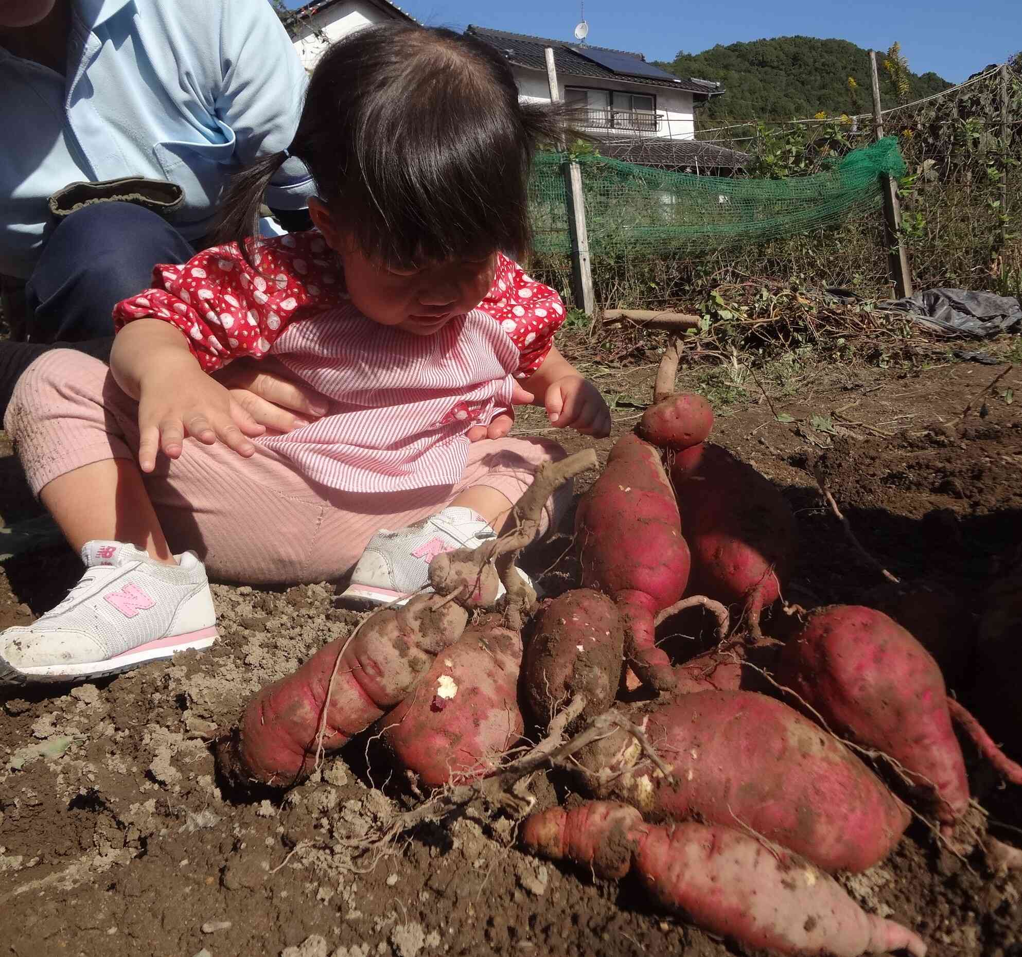 たくさん掘れたね！