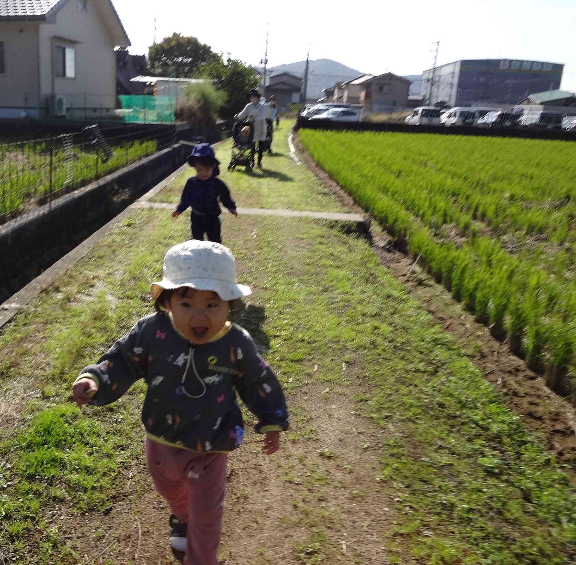 お散歩に行きました！