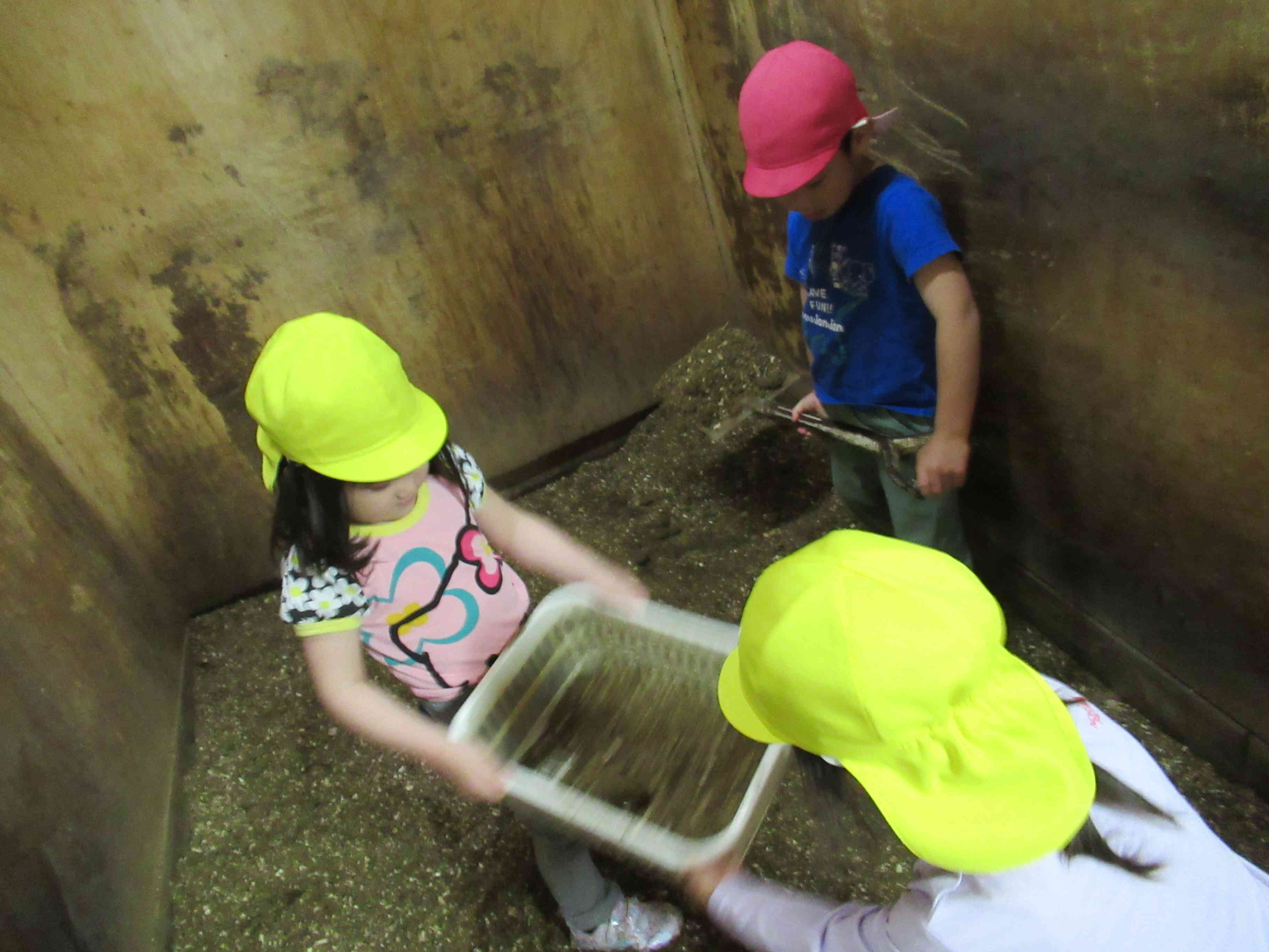 4，5歳児(ぱんだ・きりん組）さん！毎月のポニースクールでのお仕事の一つ!!「馬房掃除」もとても意欲的に行っています。