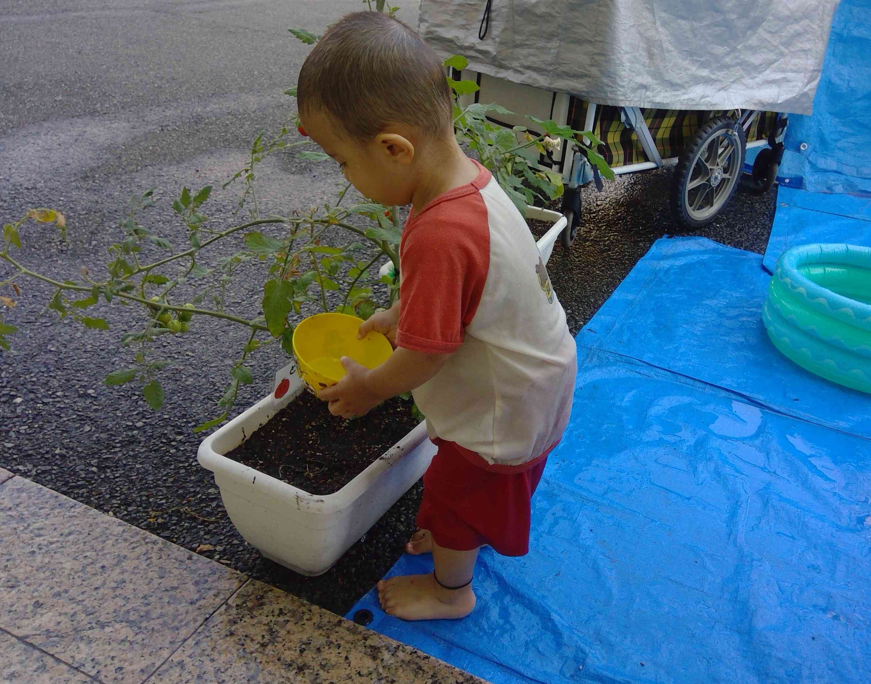 水遊びの合間にお水やりもしてくれています