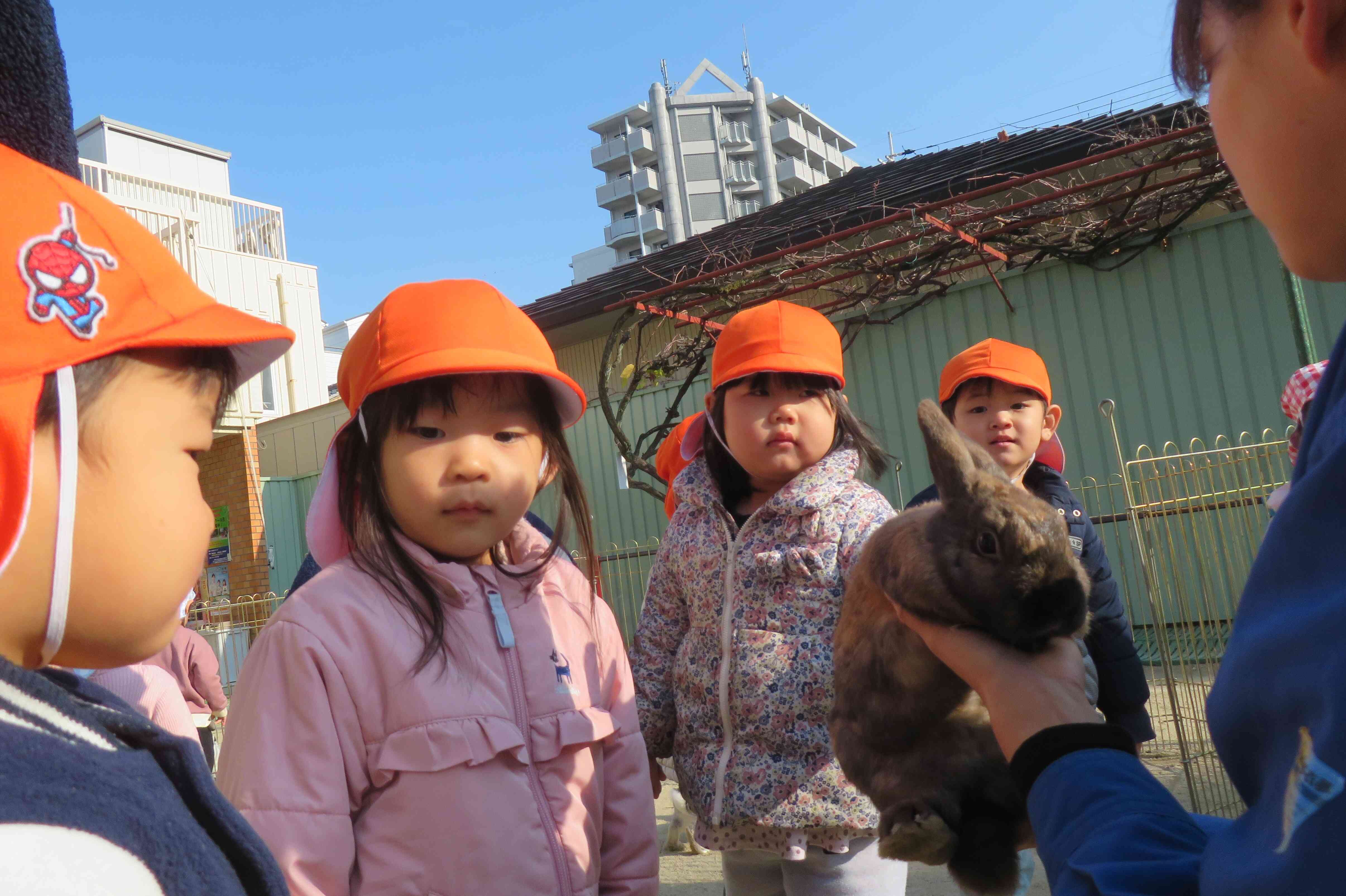 移動動物園に行ってきたよ★2歳児(うさぎ組)