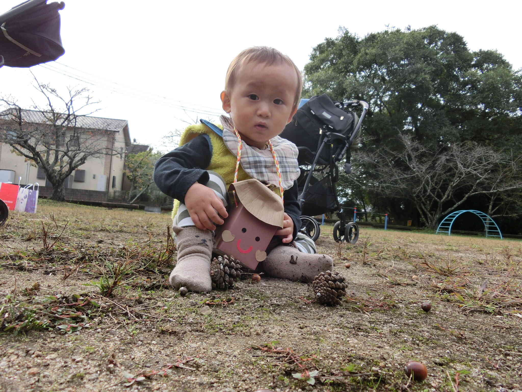 おっきな松ぼっくり！