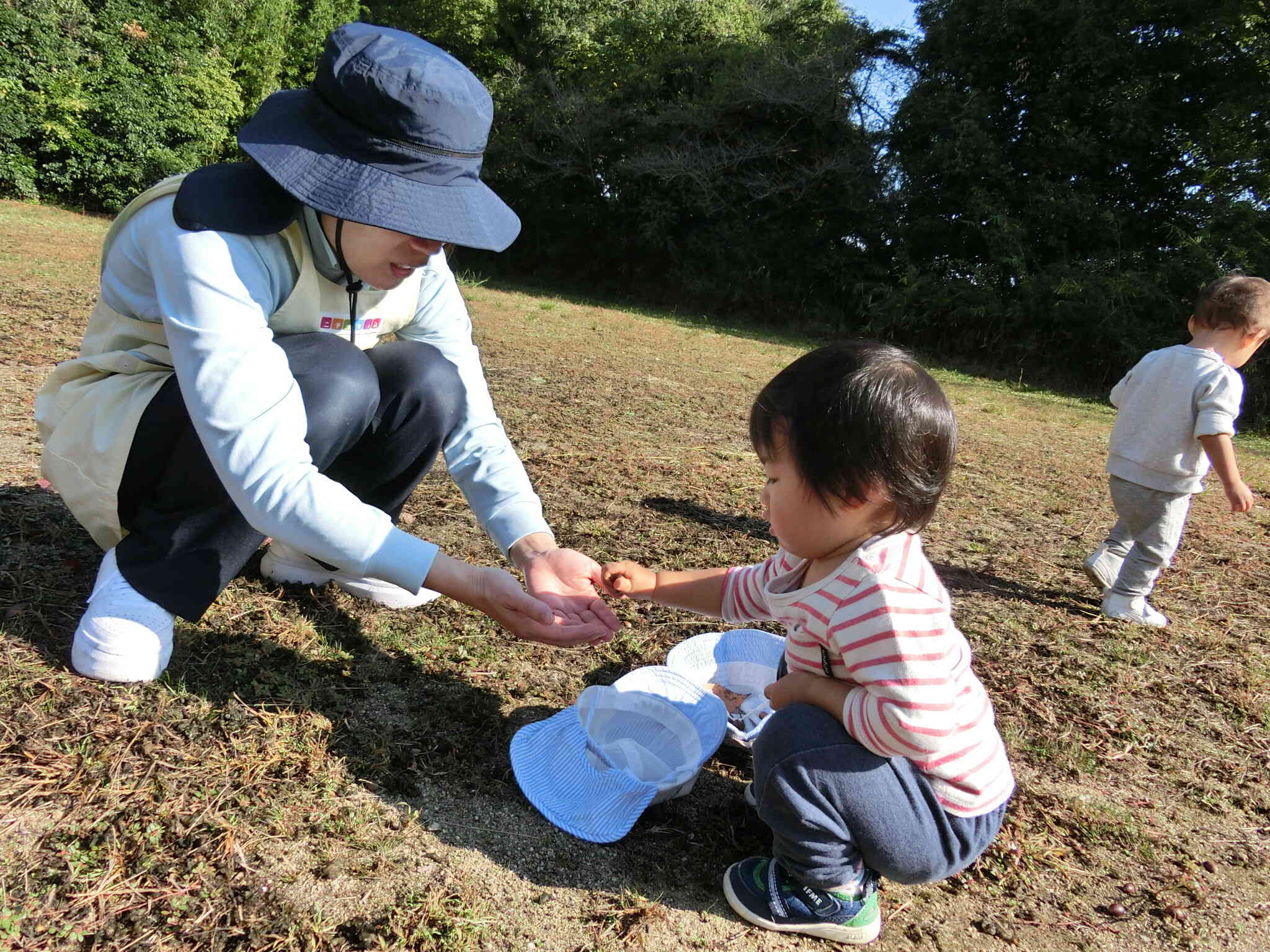 帽子に入れて集めたよ♪