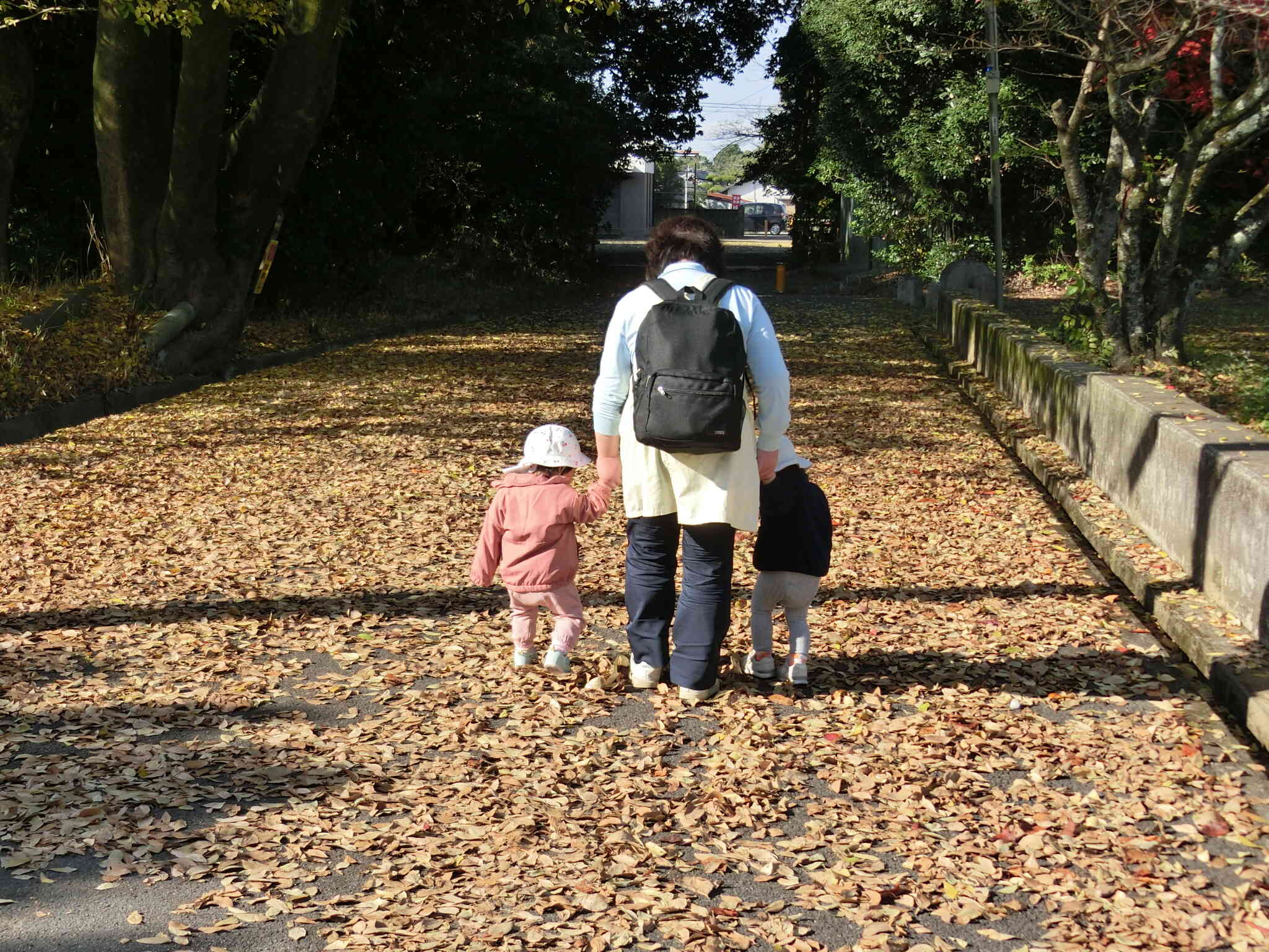 落ち葉がいっぱい！！