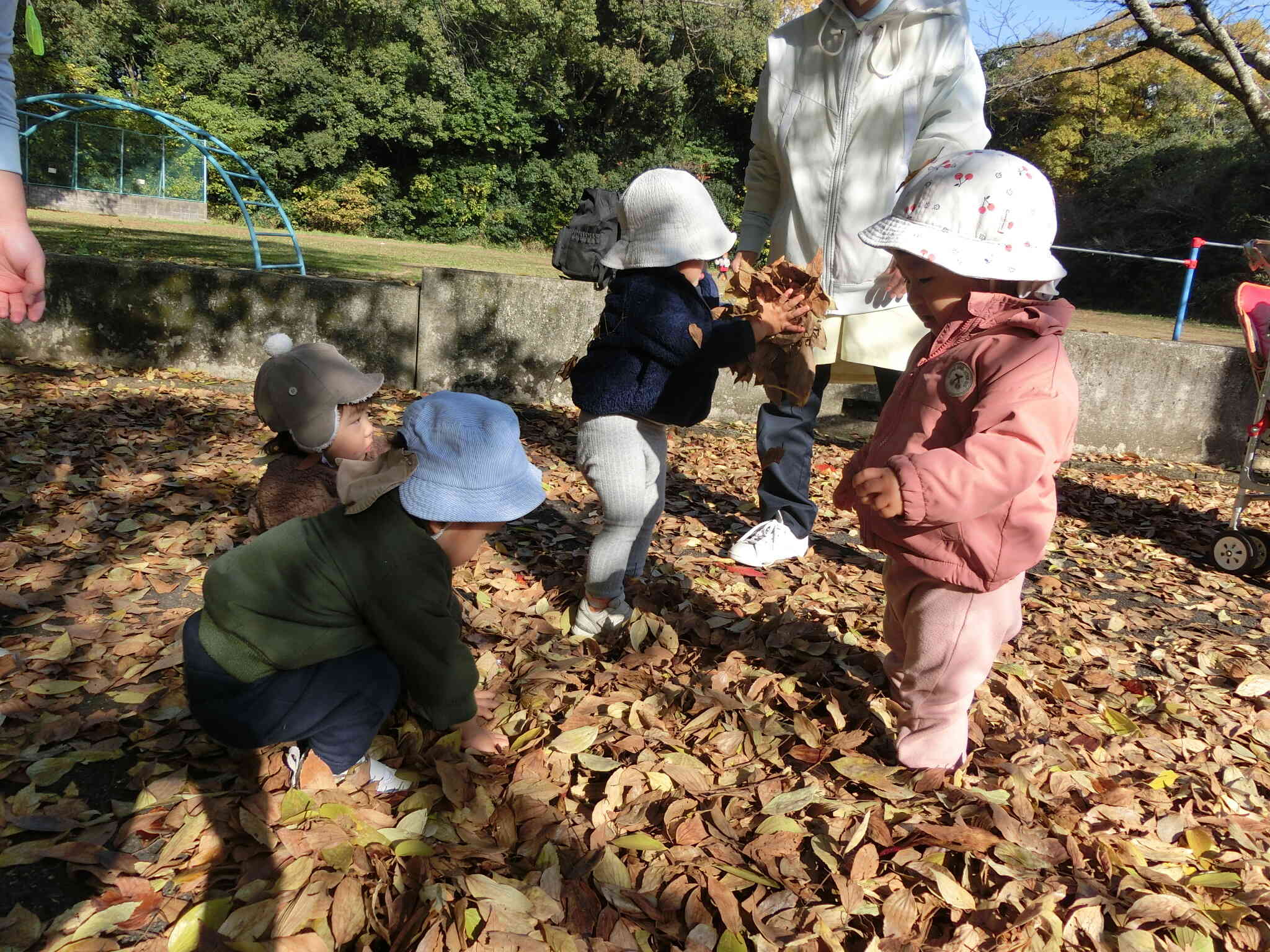 ひよこ組　落ち葉遊び！