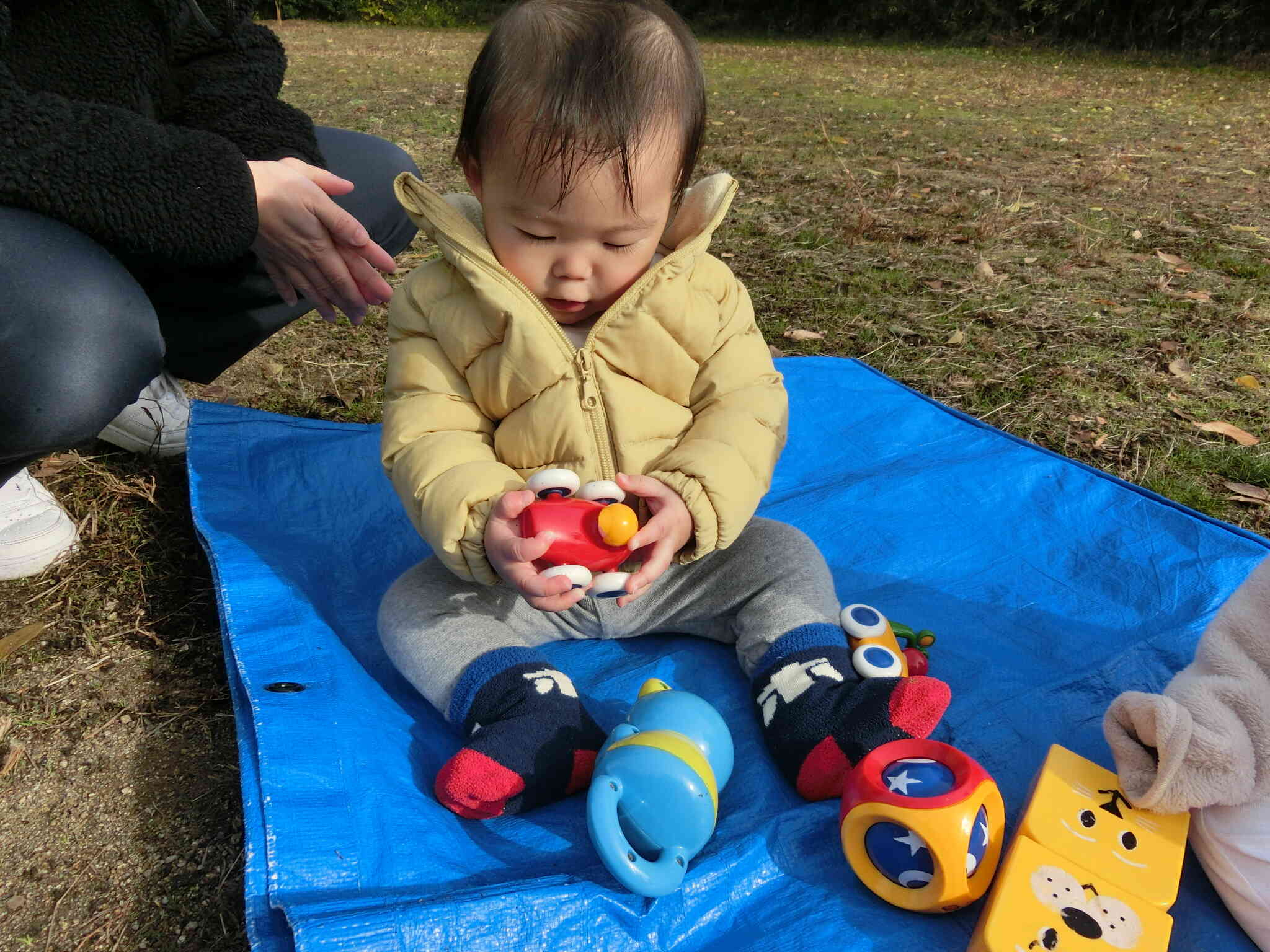 車のおもちゃで遊ぼう！