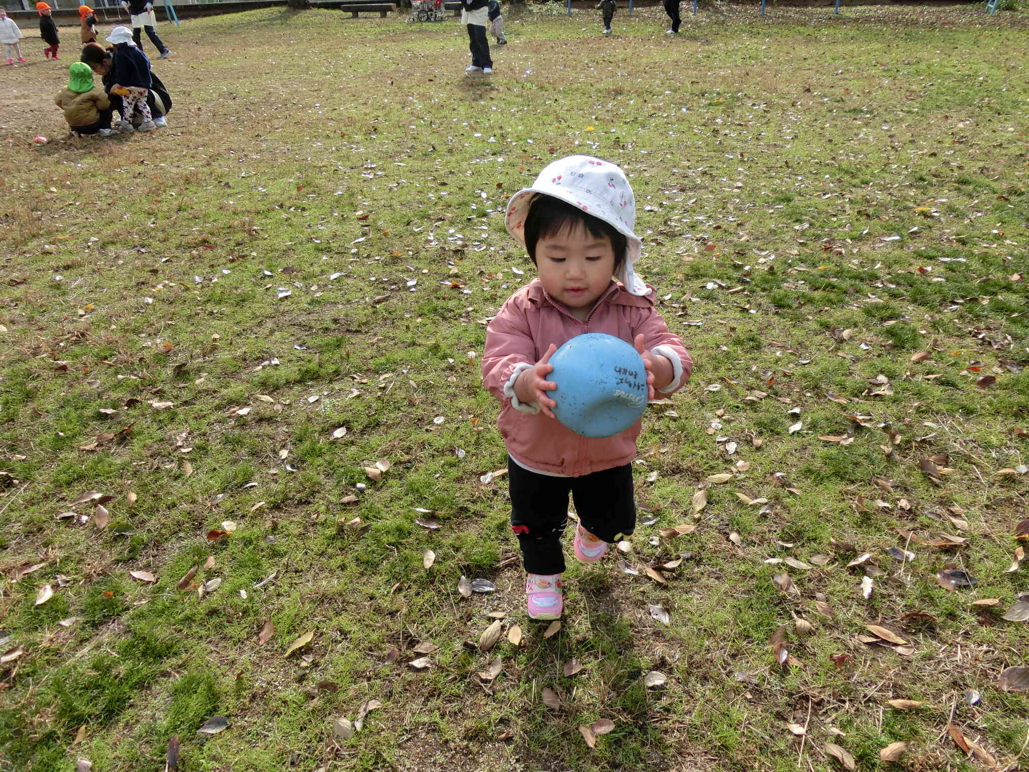 次はこれで遊ぼう♪