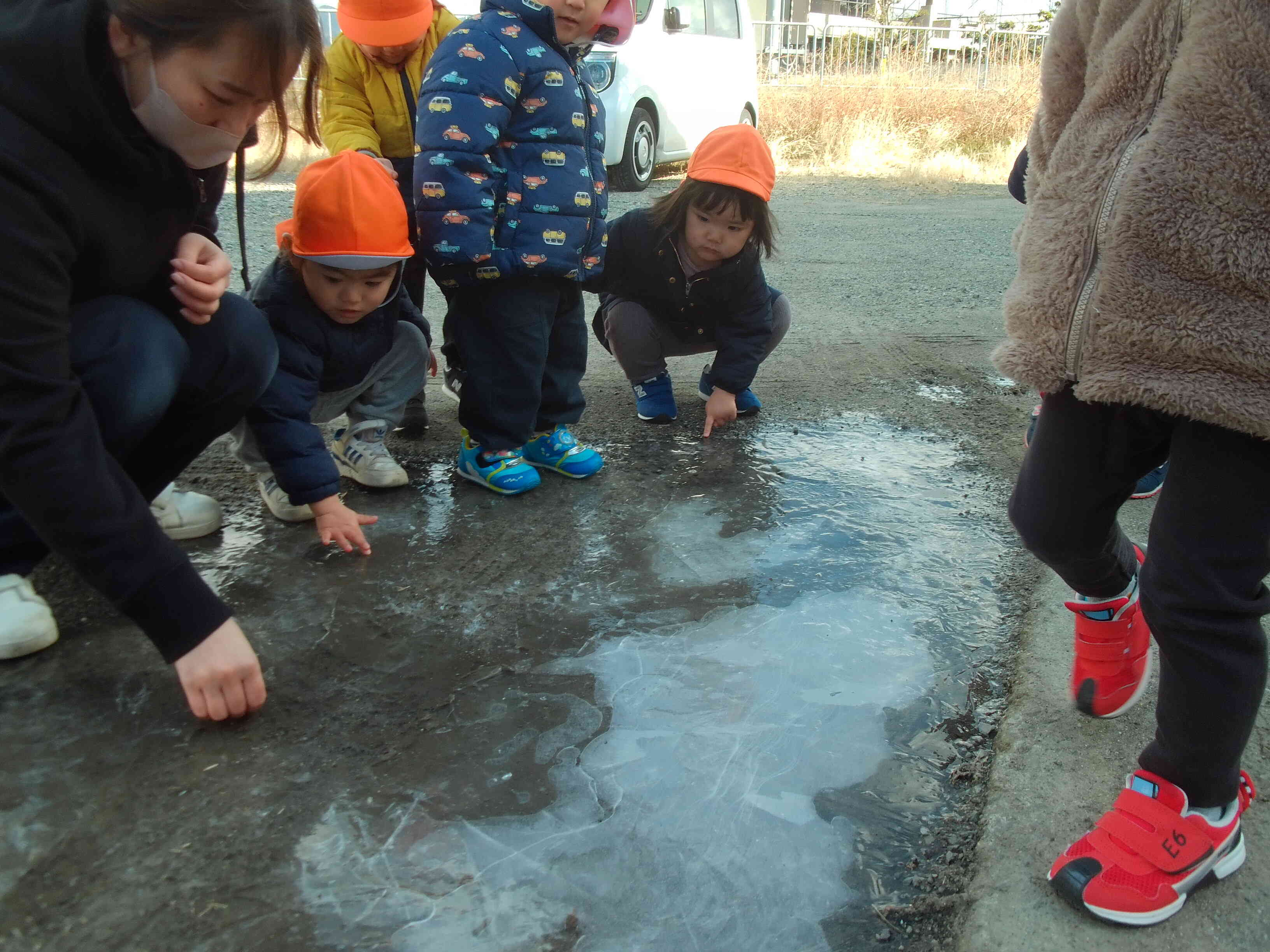 ほんとに大きな氷だね