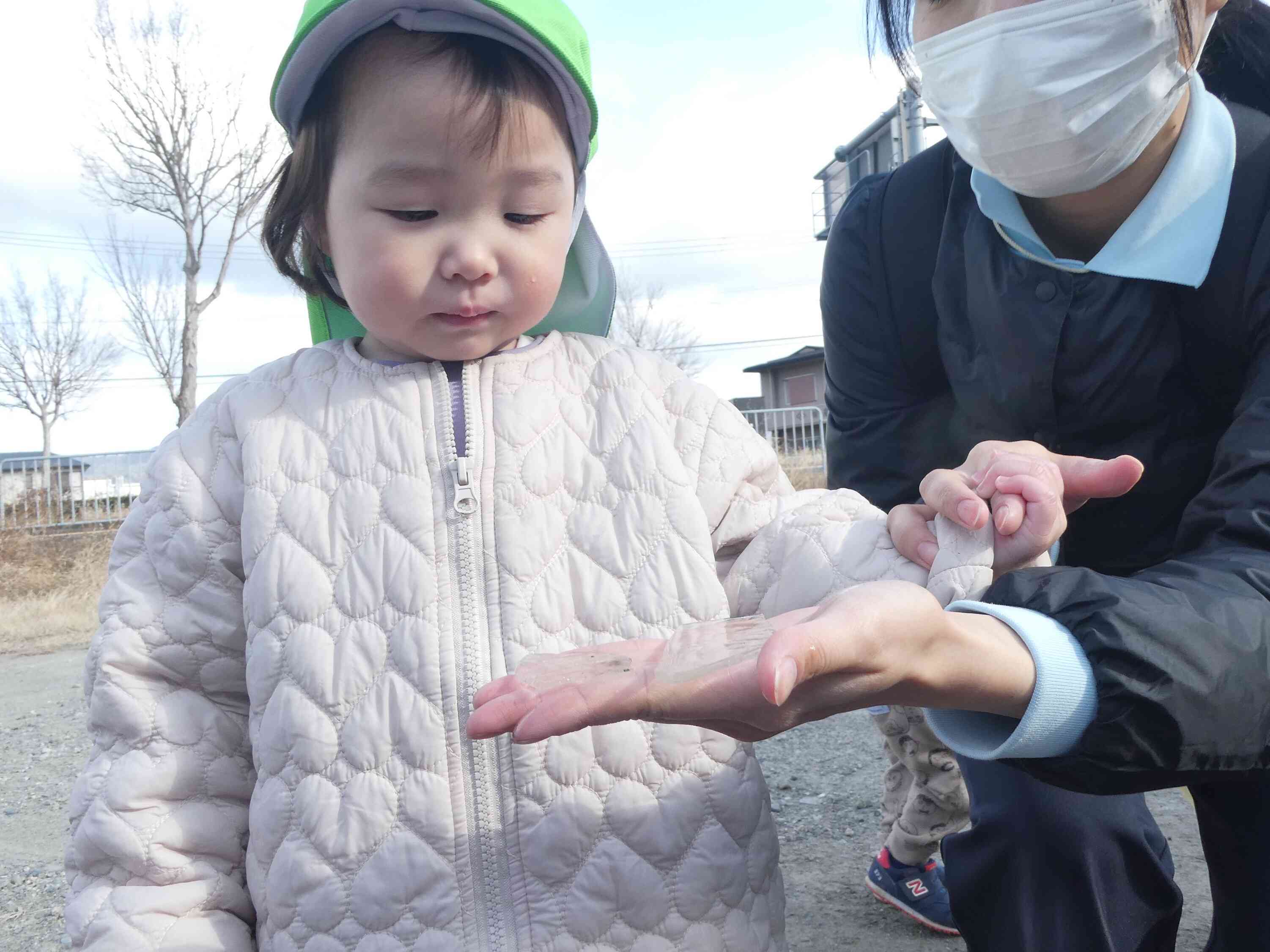 恐る恐る触るよ…