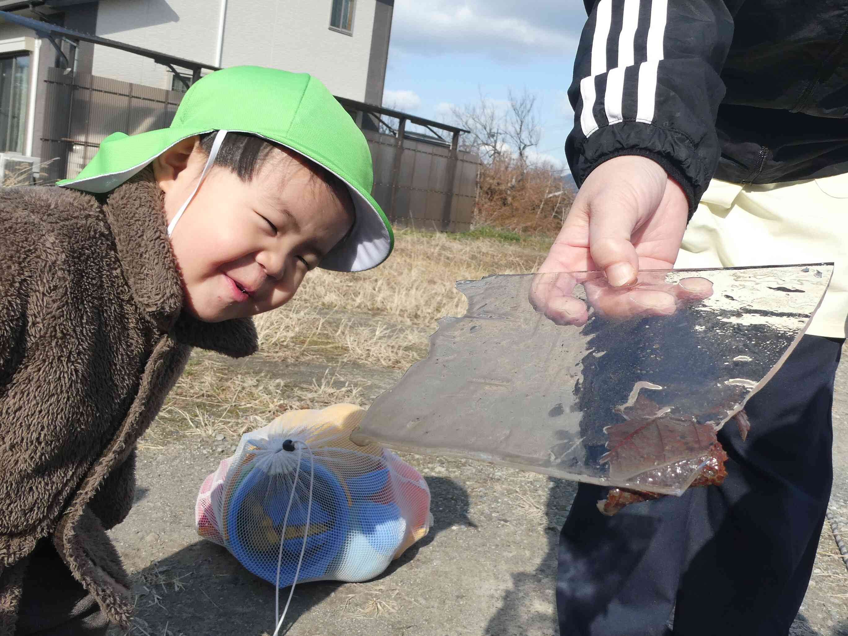 あれ？なんかついてるよ☆