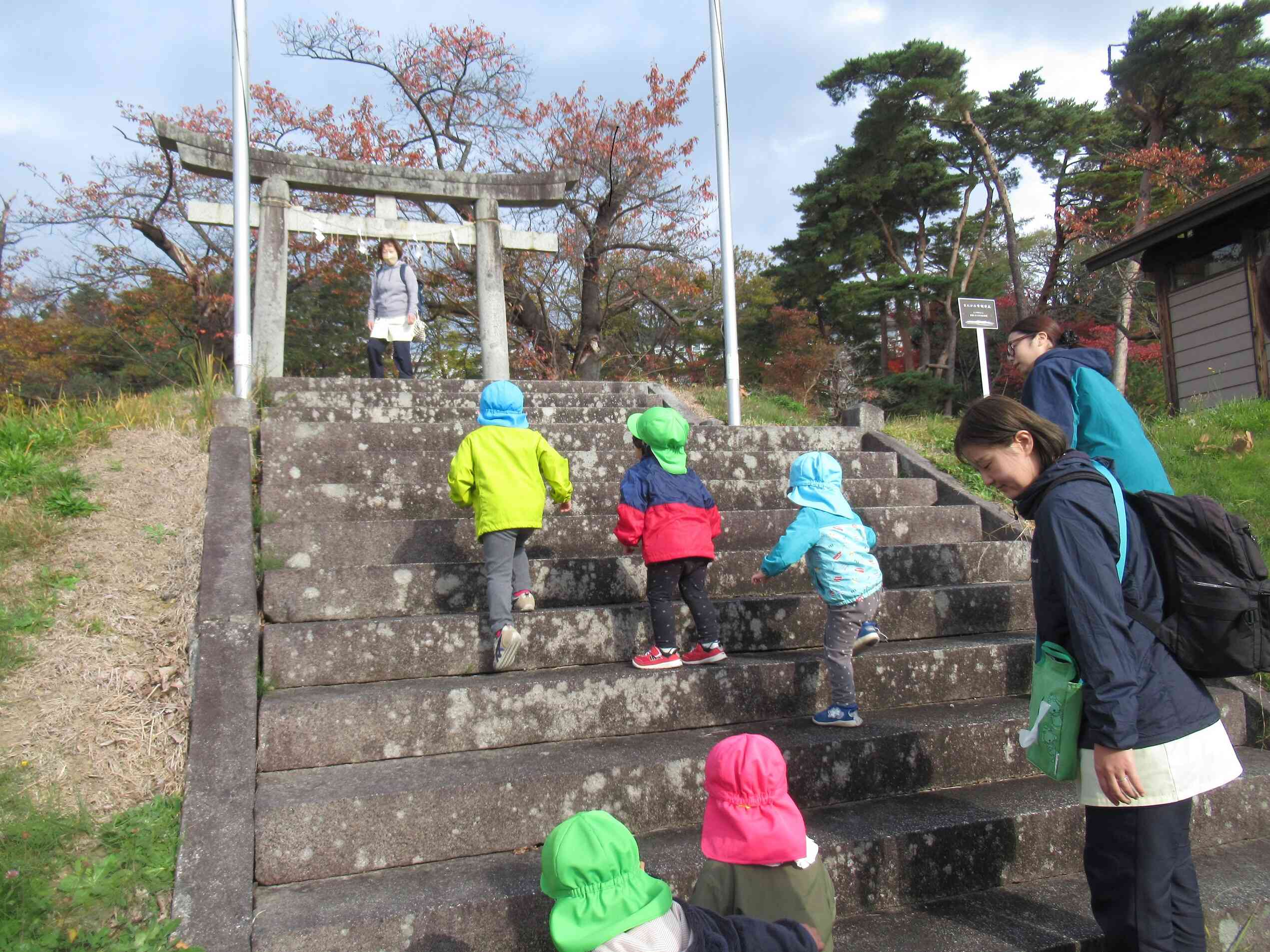 階段を登って鳥居をくぐります