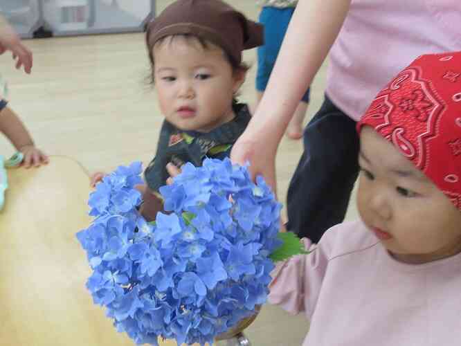 きれいなお花だね