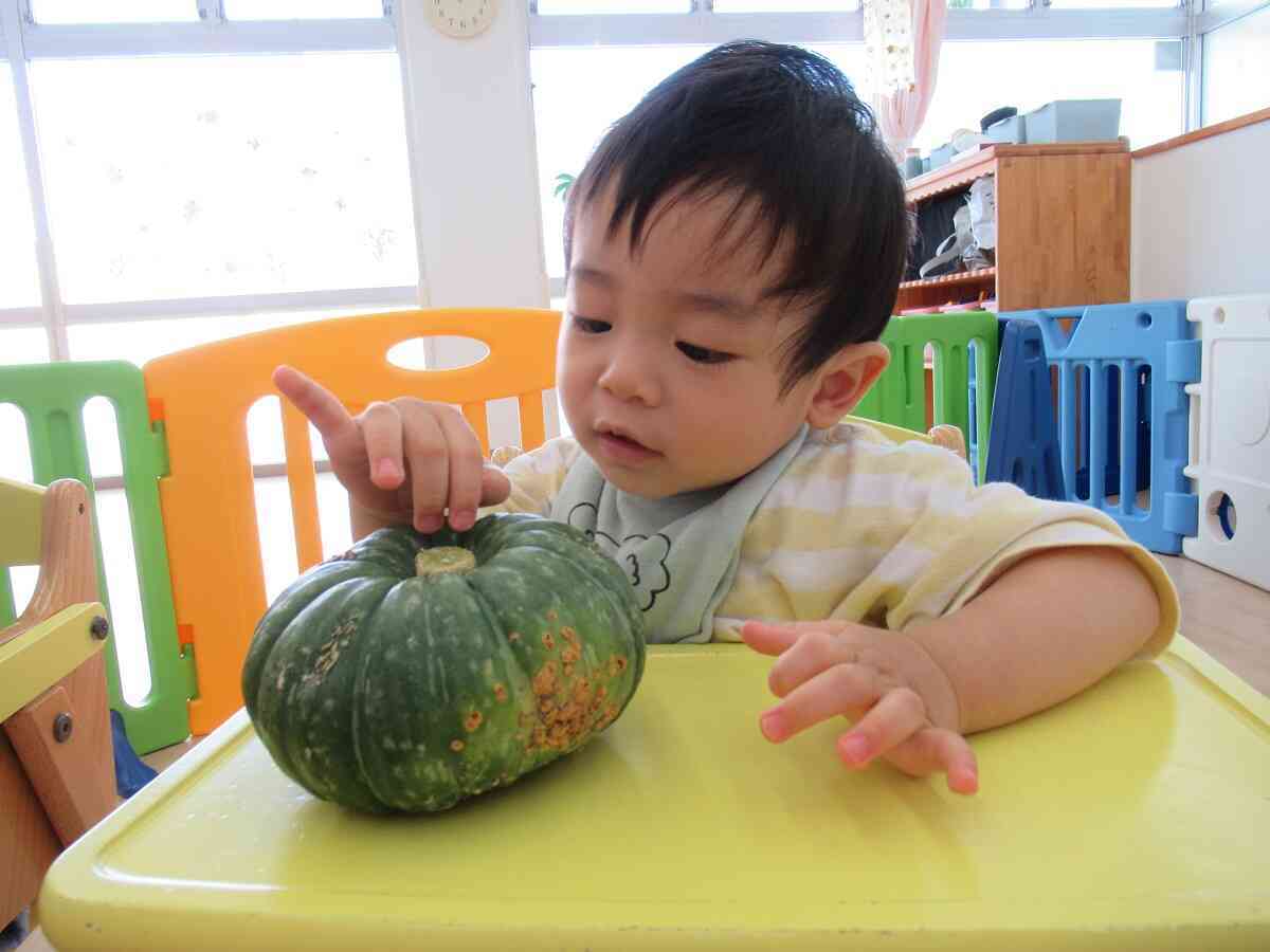 夏野菜とお友達になったよ