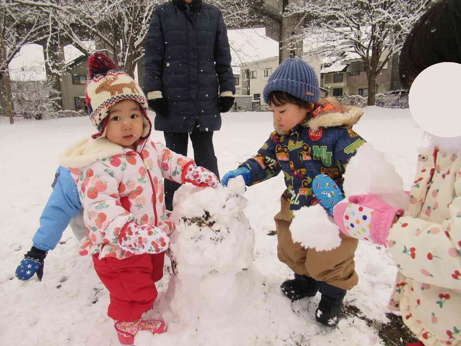 いつもの公園が一面真っ白雪景色