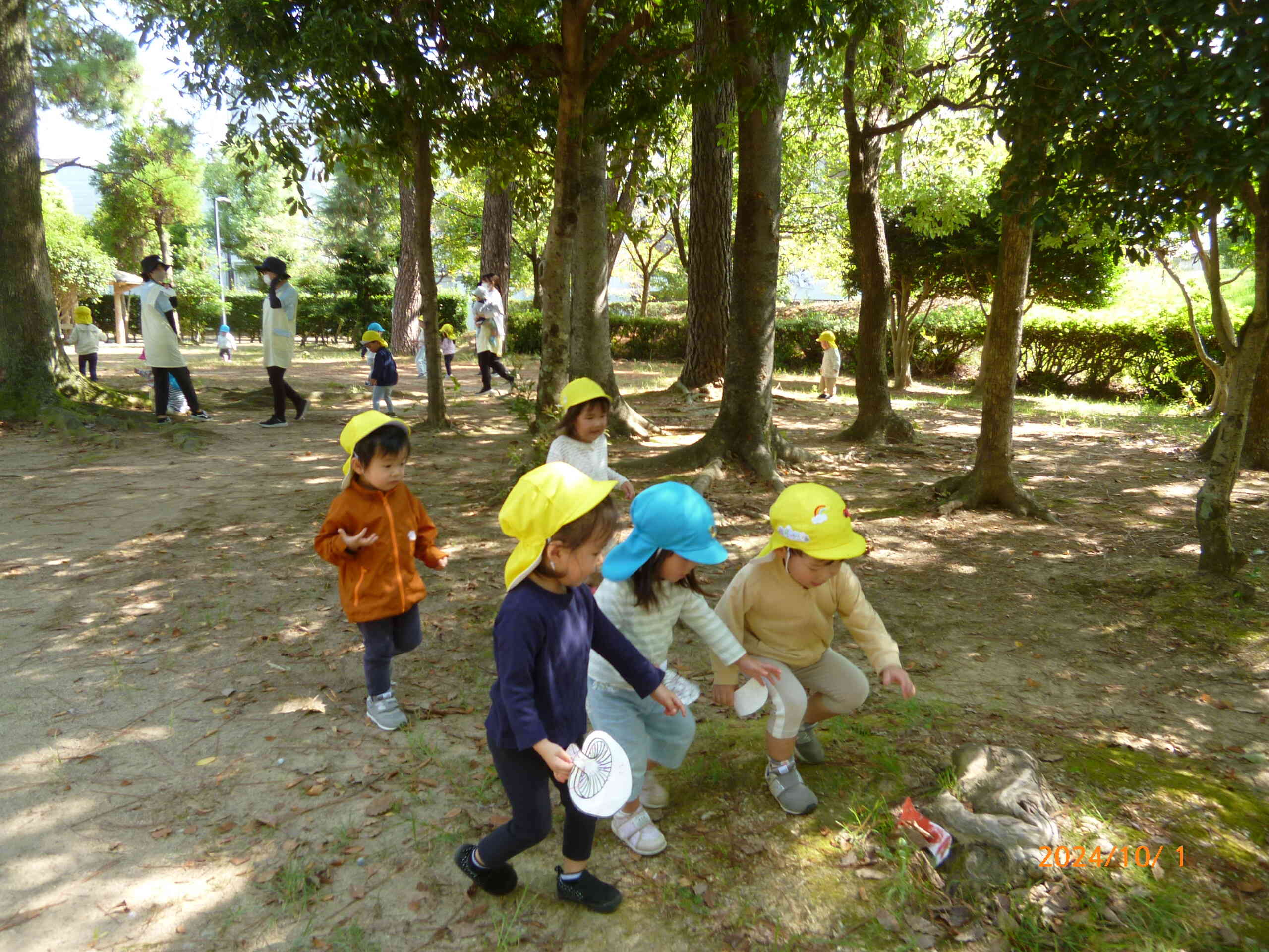 秋が旬といえば“きのこ”です。いつもの公園にきのこ探しにきました♪「あっ！みつけた！」と大喜びでたくさんのきのこを発見しました♡