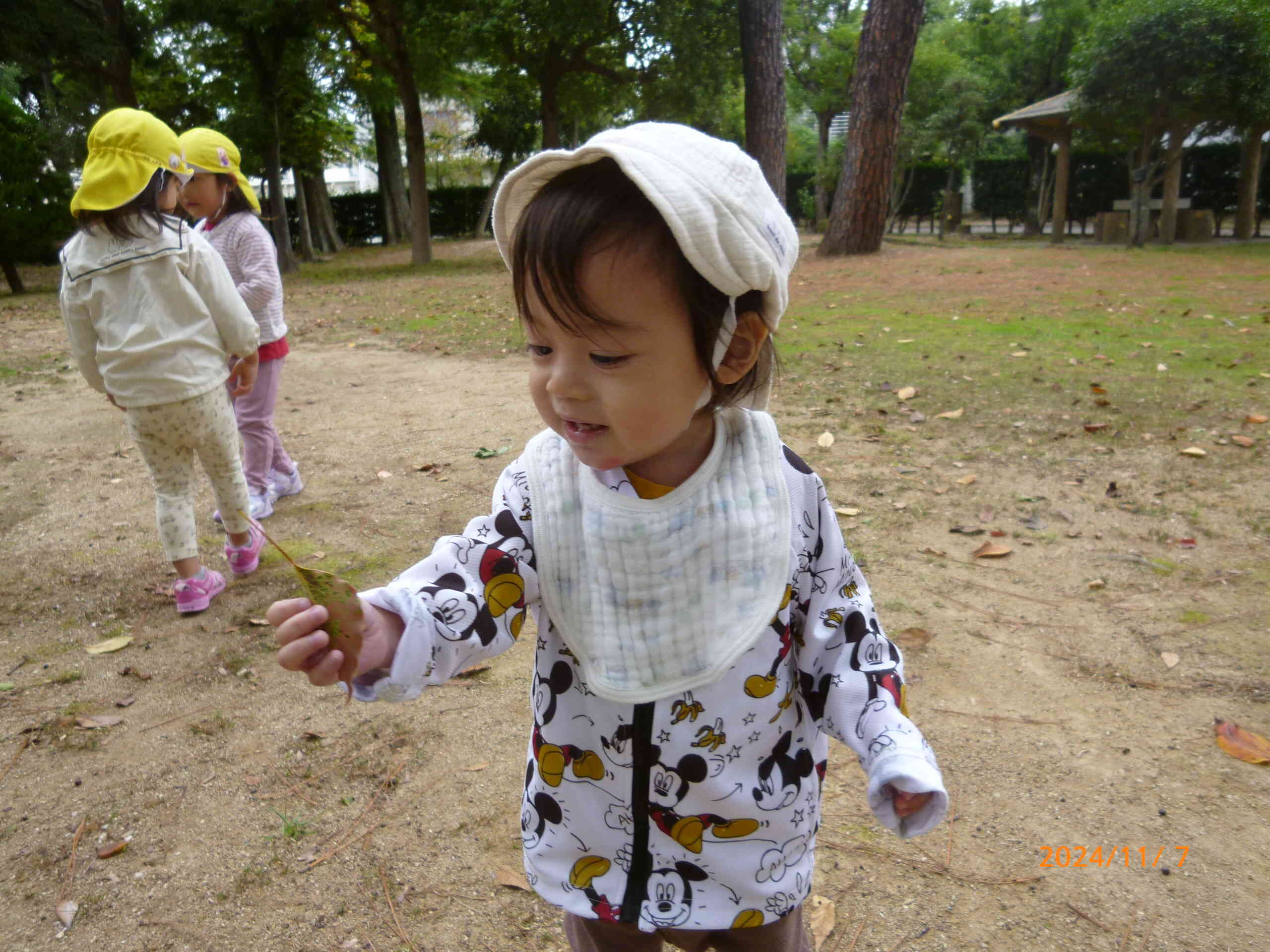 公園で秋探し☆上組さんと一緒にあちこち葉っぱを探して…「あっ！見つけた！」笑顔で葉っぱを見つめる様子にほっこりしました。