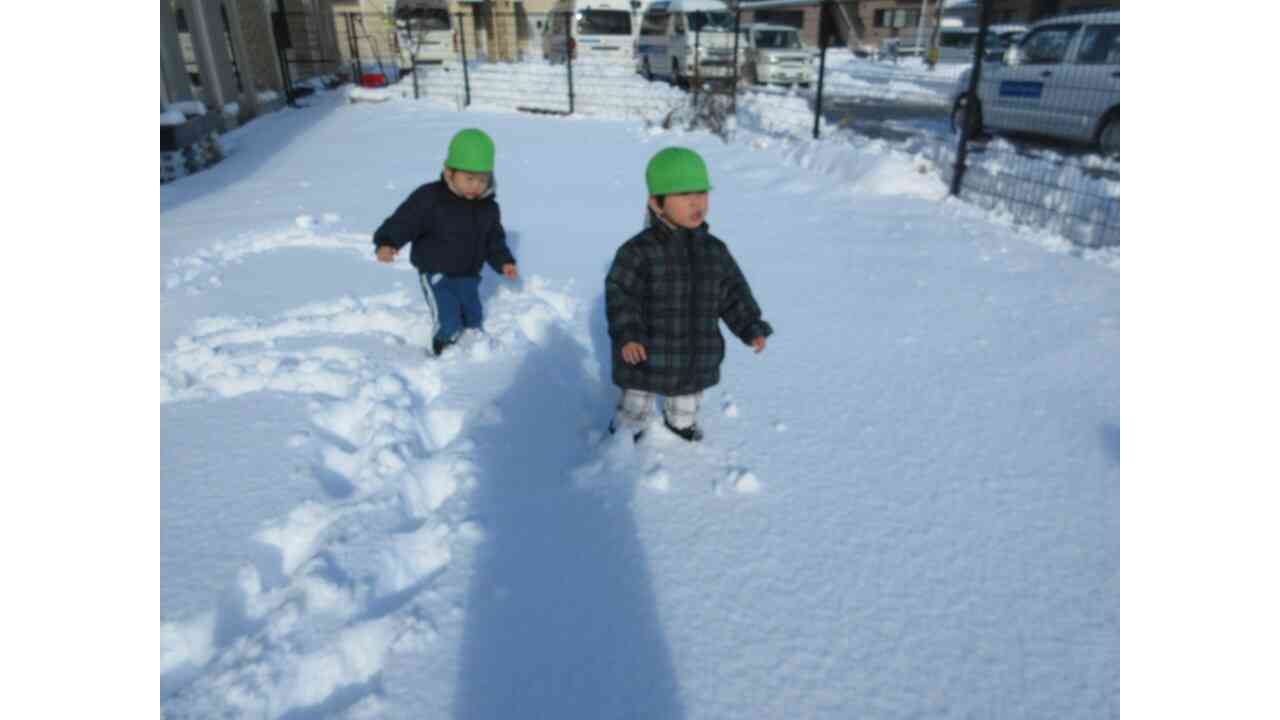 雪が積もりました！