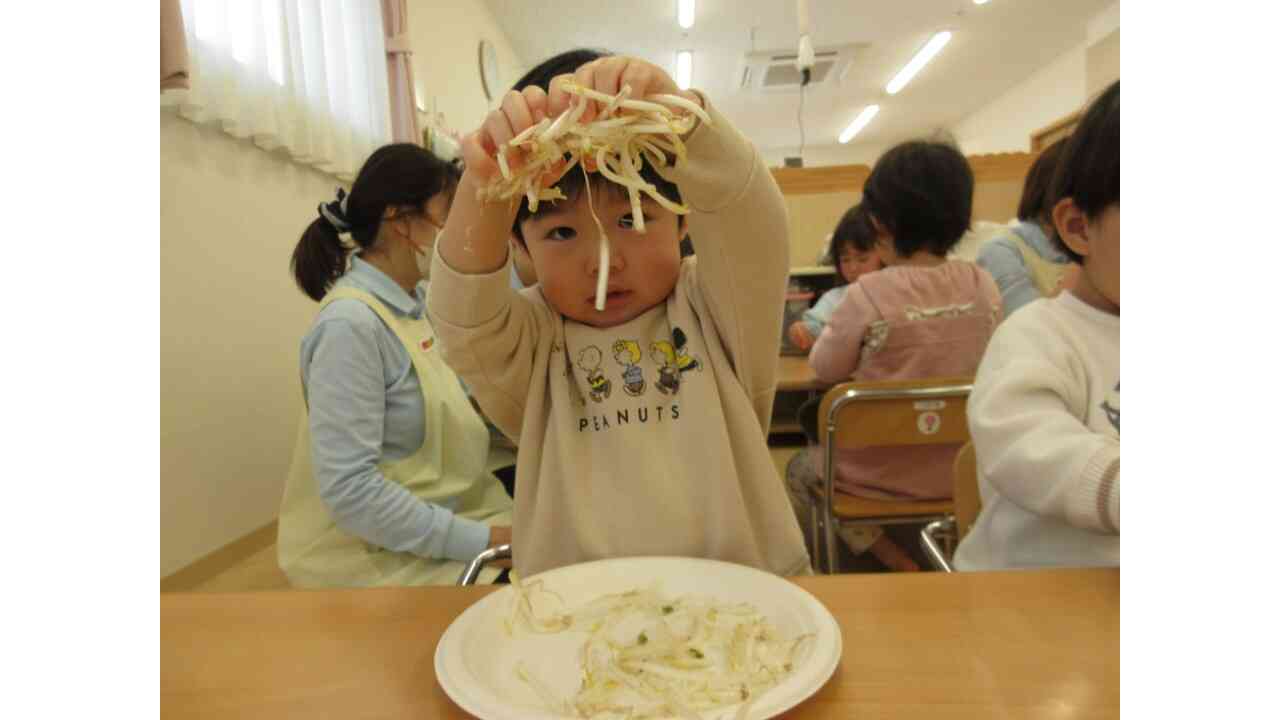 食育　もやしに触れたよ