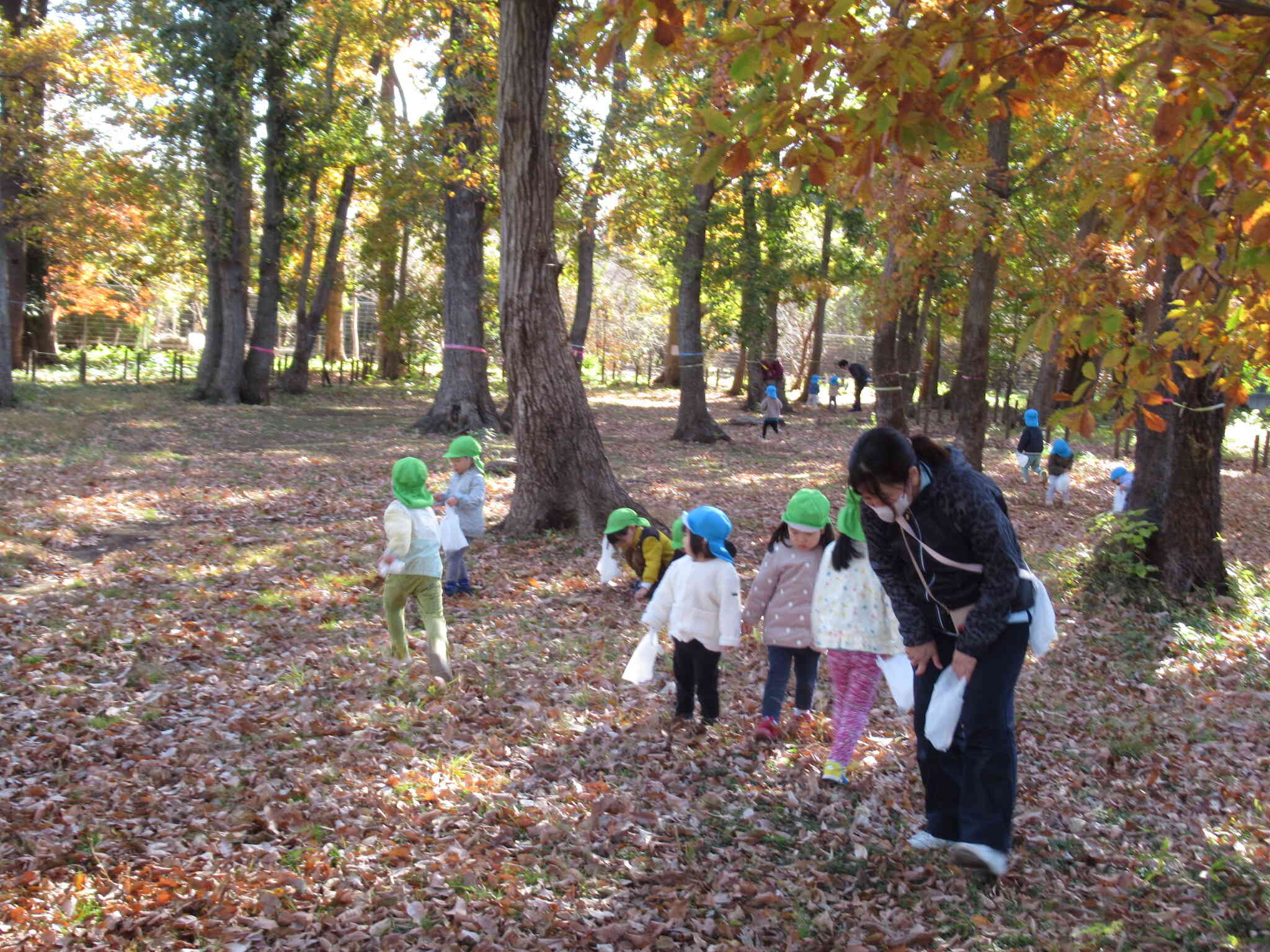 一緒にお散歩(2/3歳児クラス)