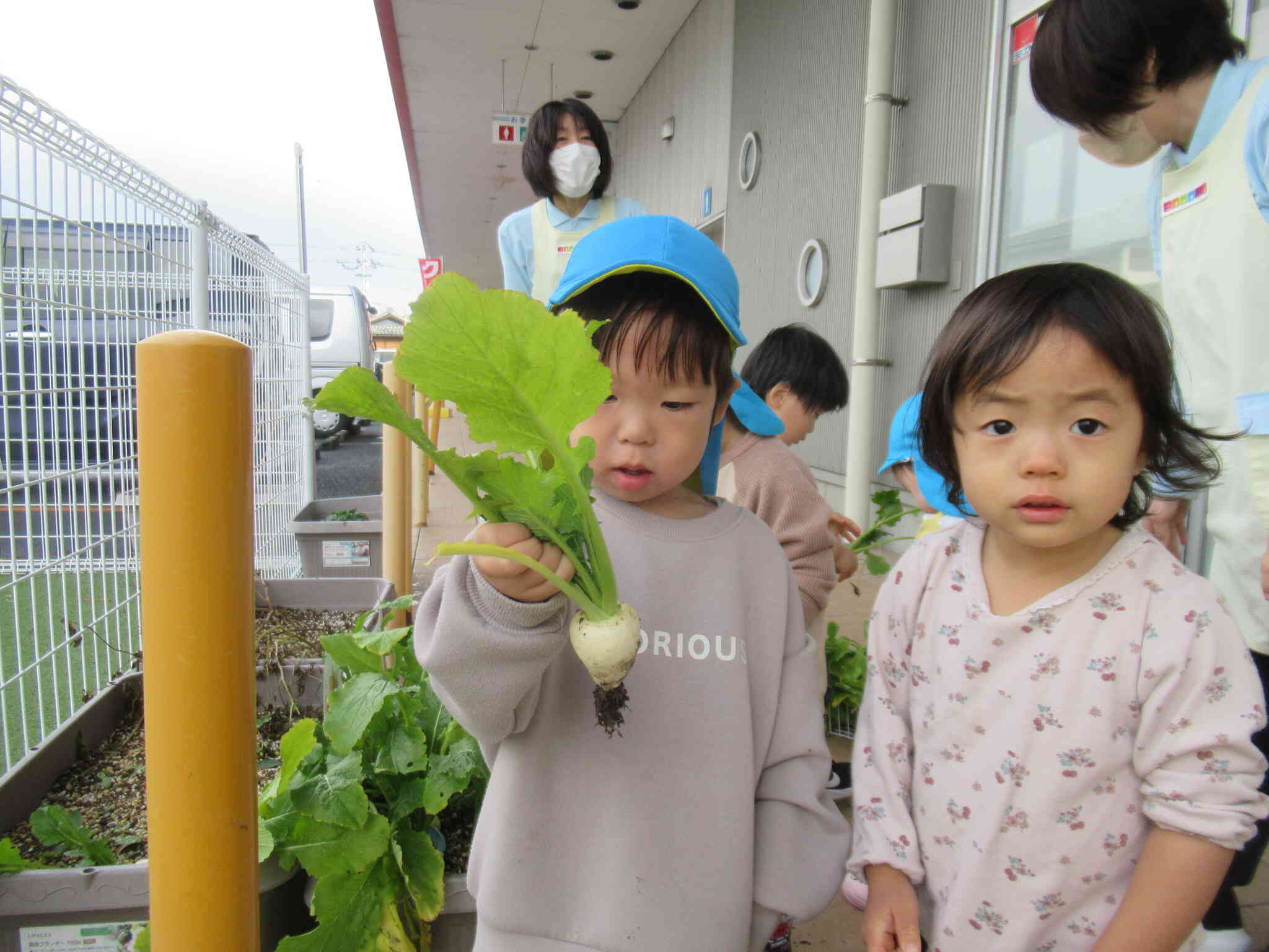 【1月の食育】七草風おにぎりをにぎろう！