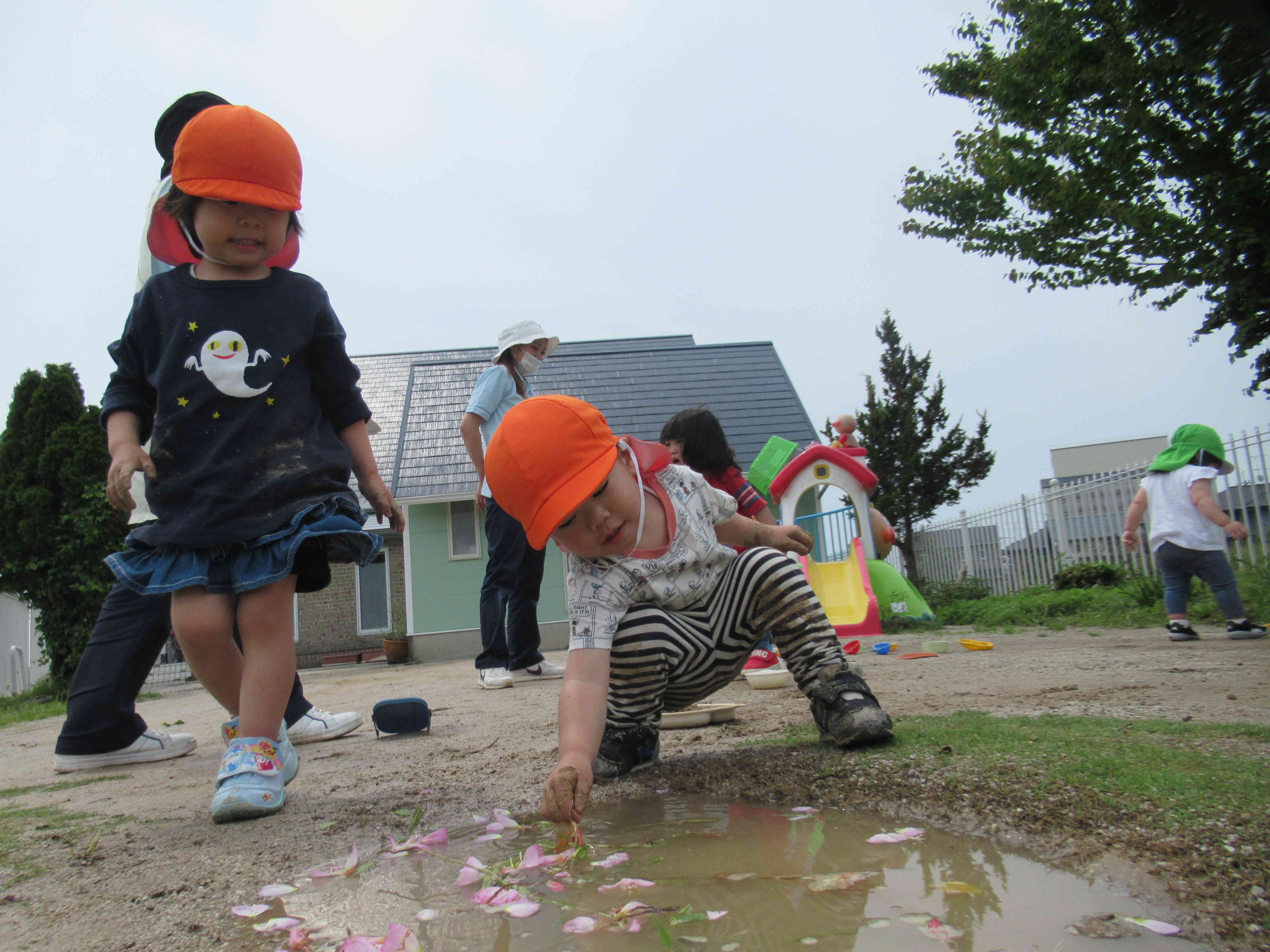 雨上がりのお庭には水たまりがたくさん。子どもたちにとっては楽しい遊びに発展します。