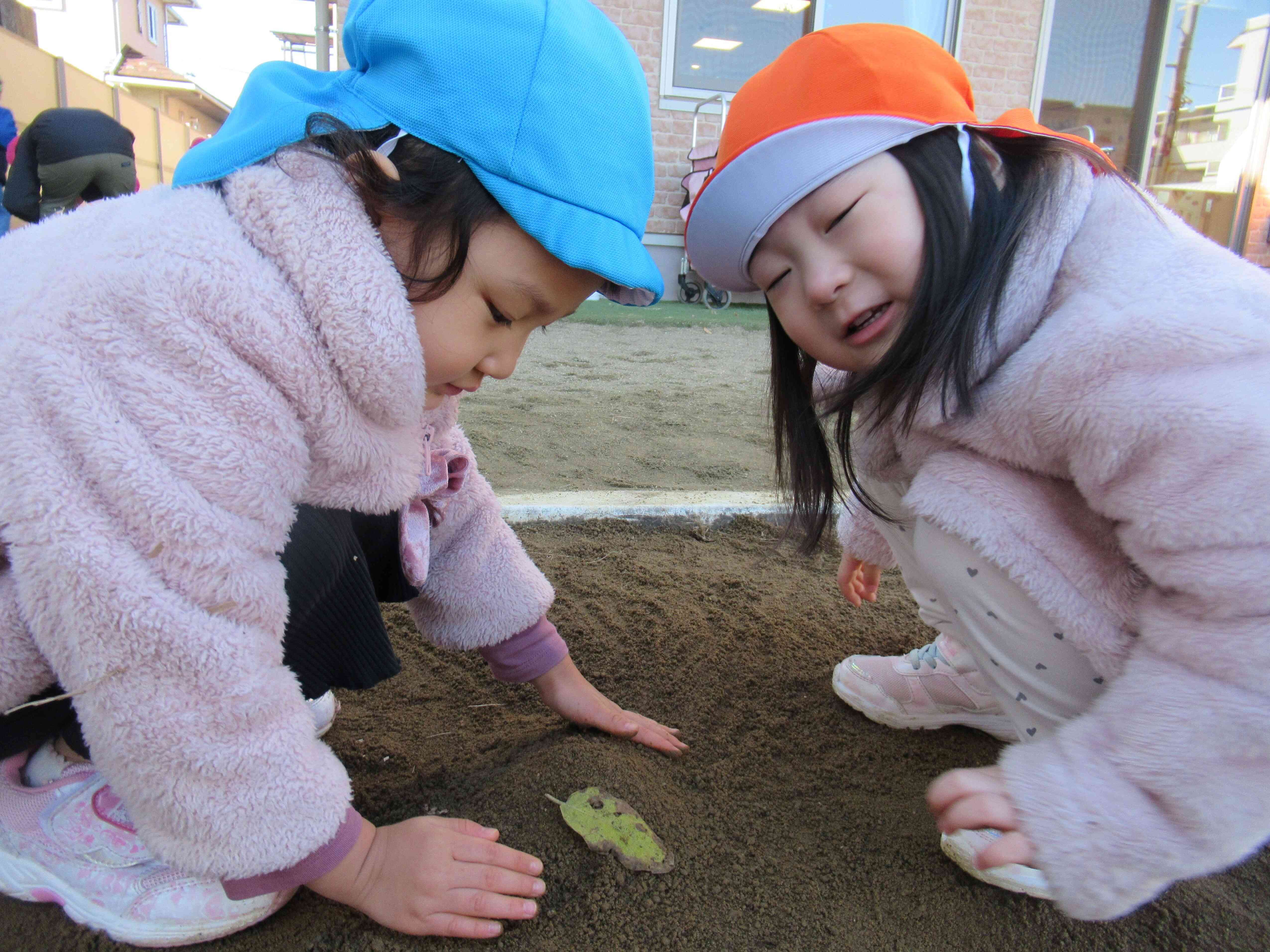 りす組（3歳児）11月の様子