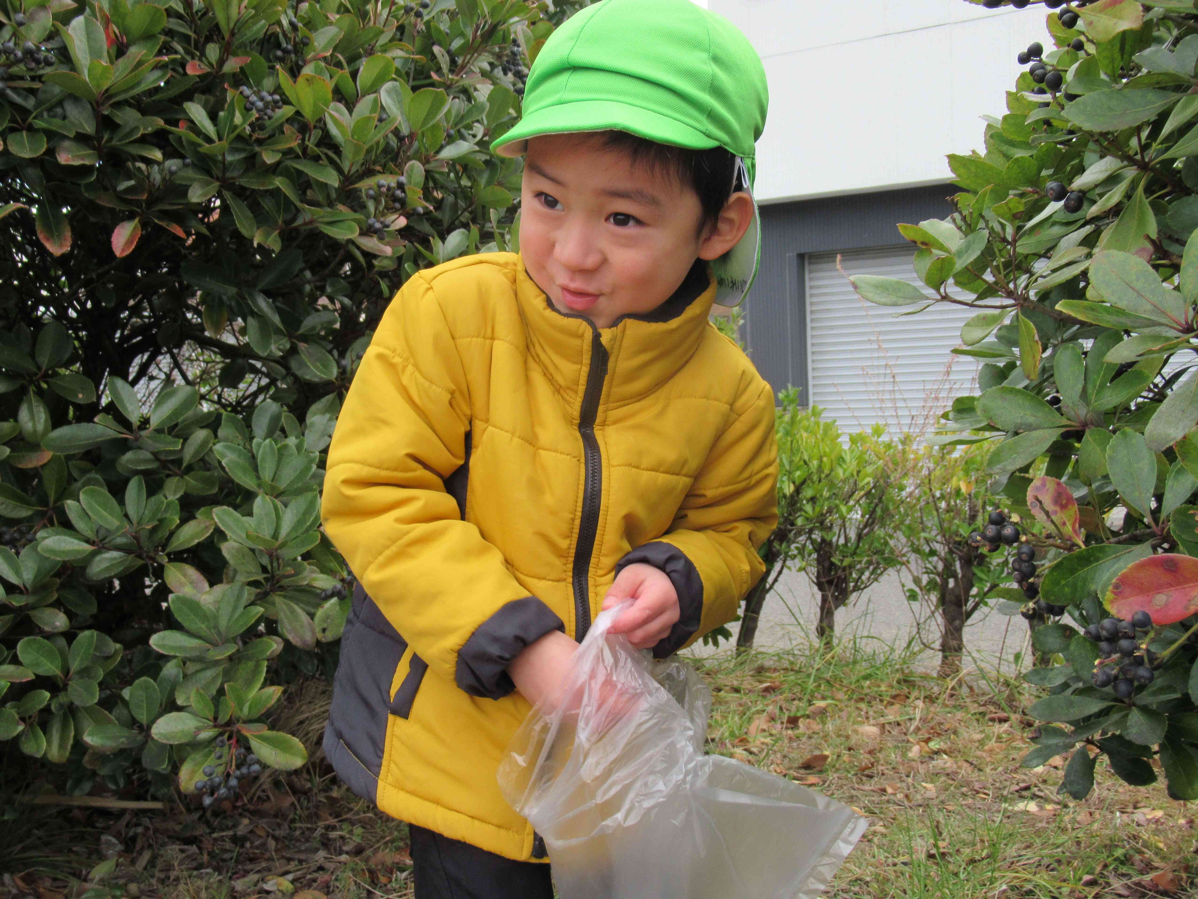 木の実たくさんみーつけた！