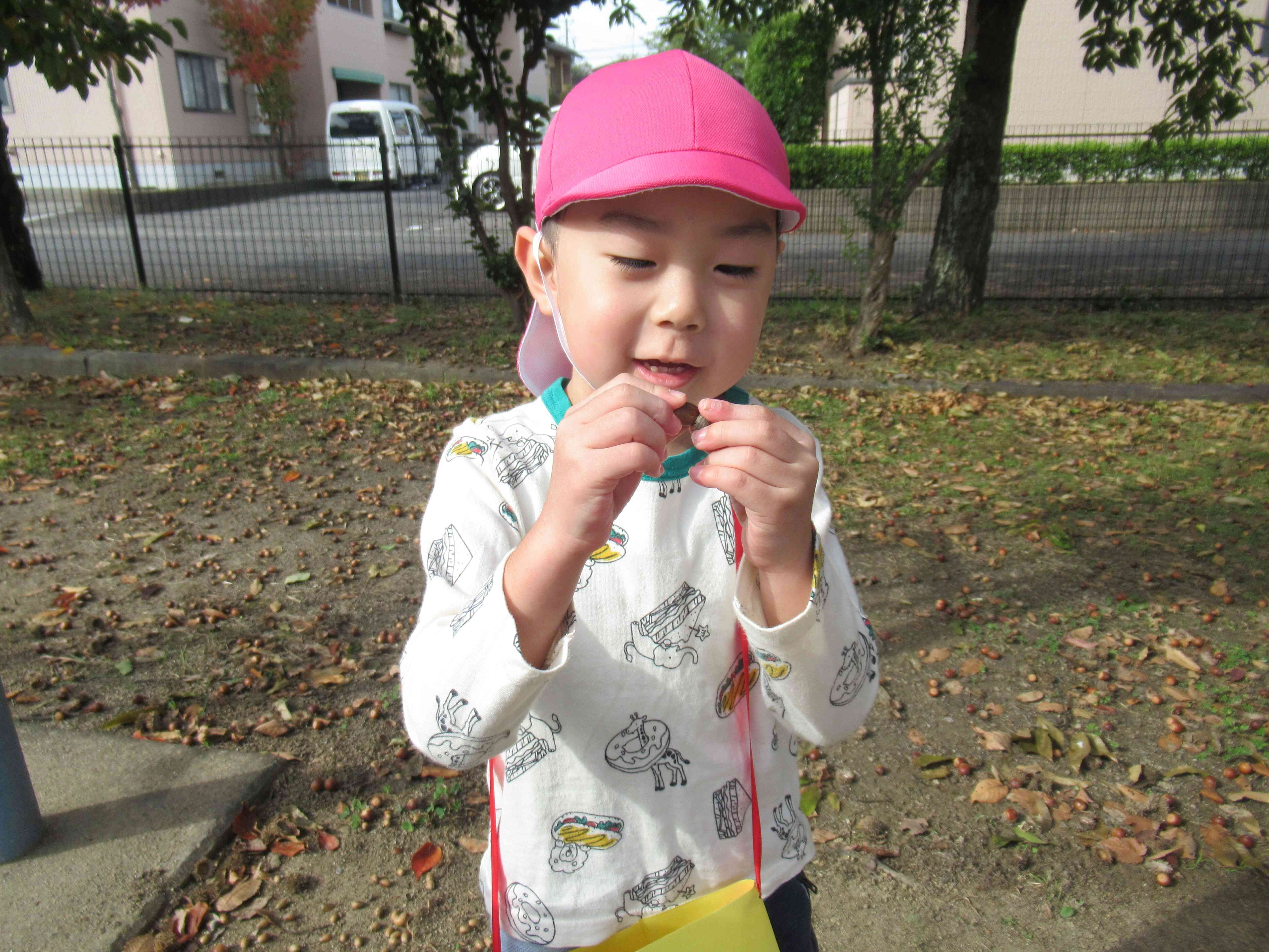 どんぐりの帽子、チクチクしてるよ！