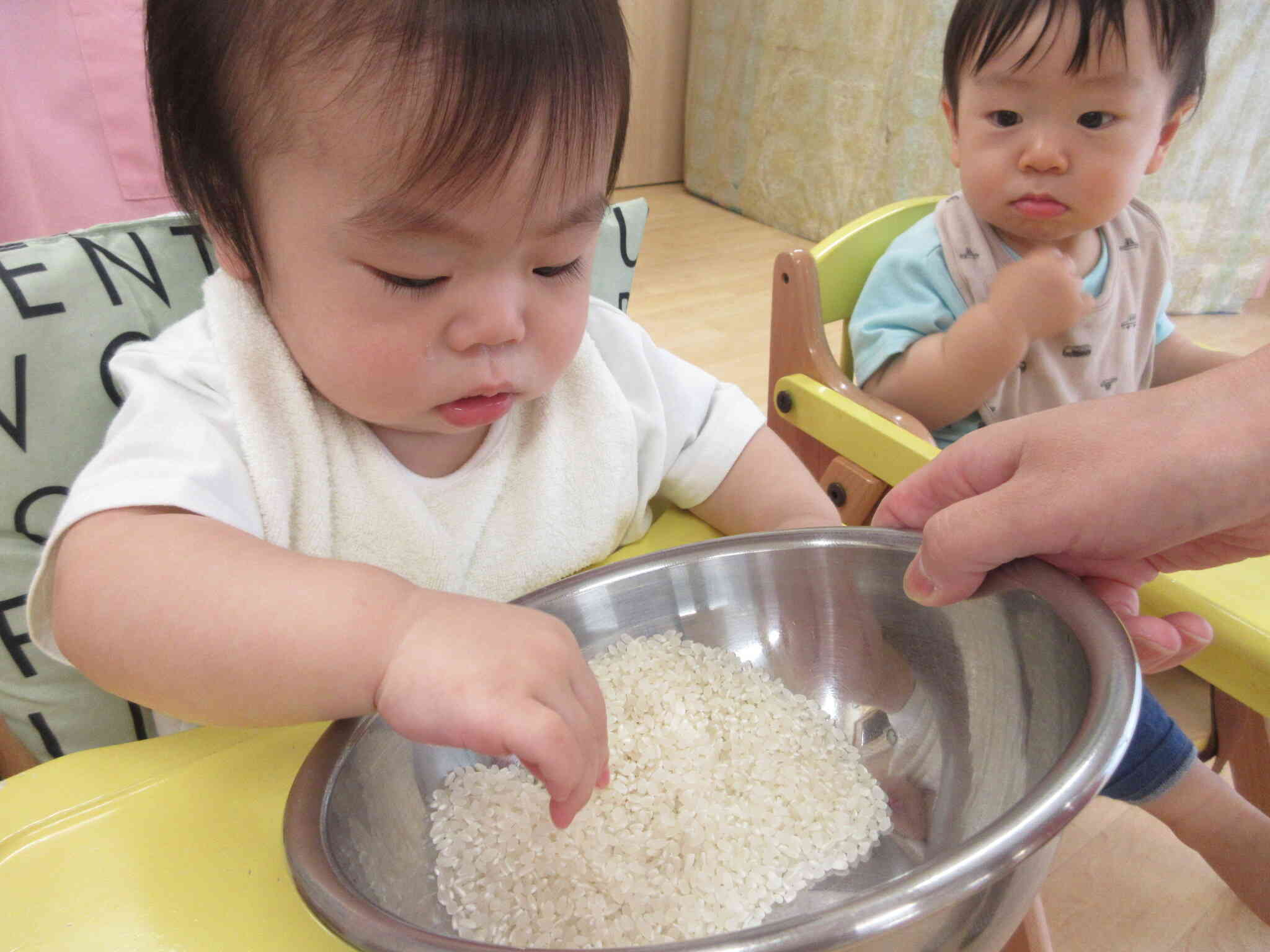 毎日食べているおいしいお米！