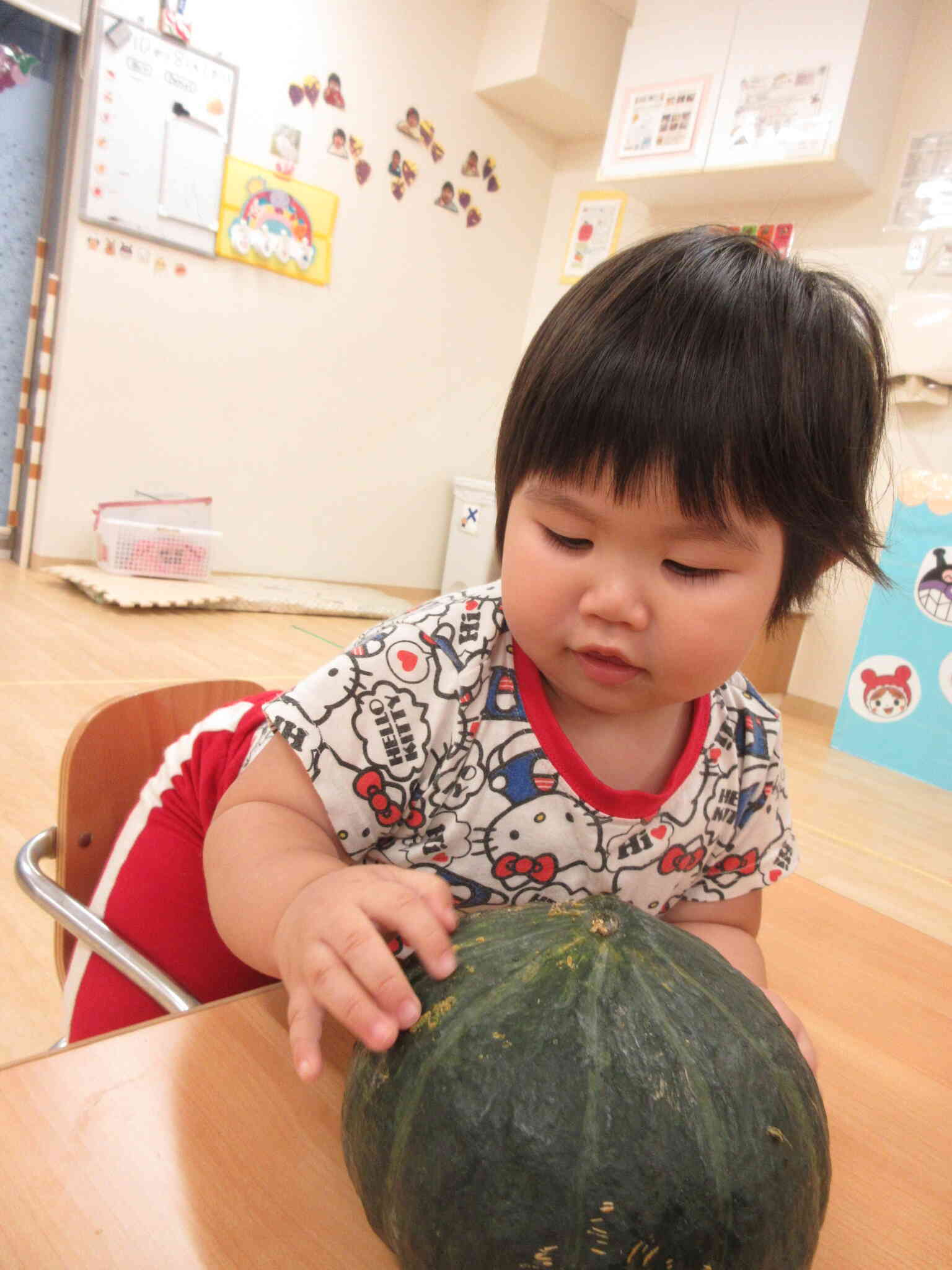 まんまる！かぼちゃだ～！！